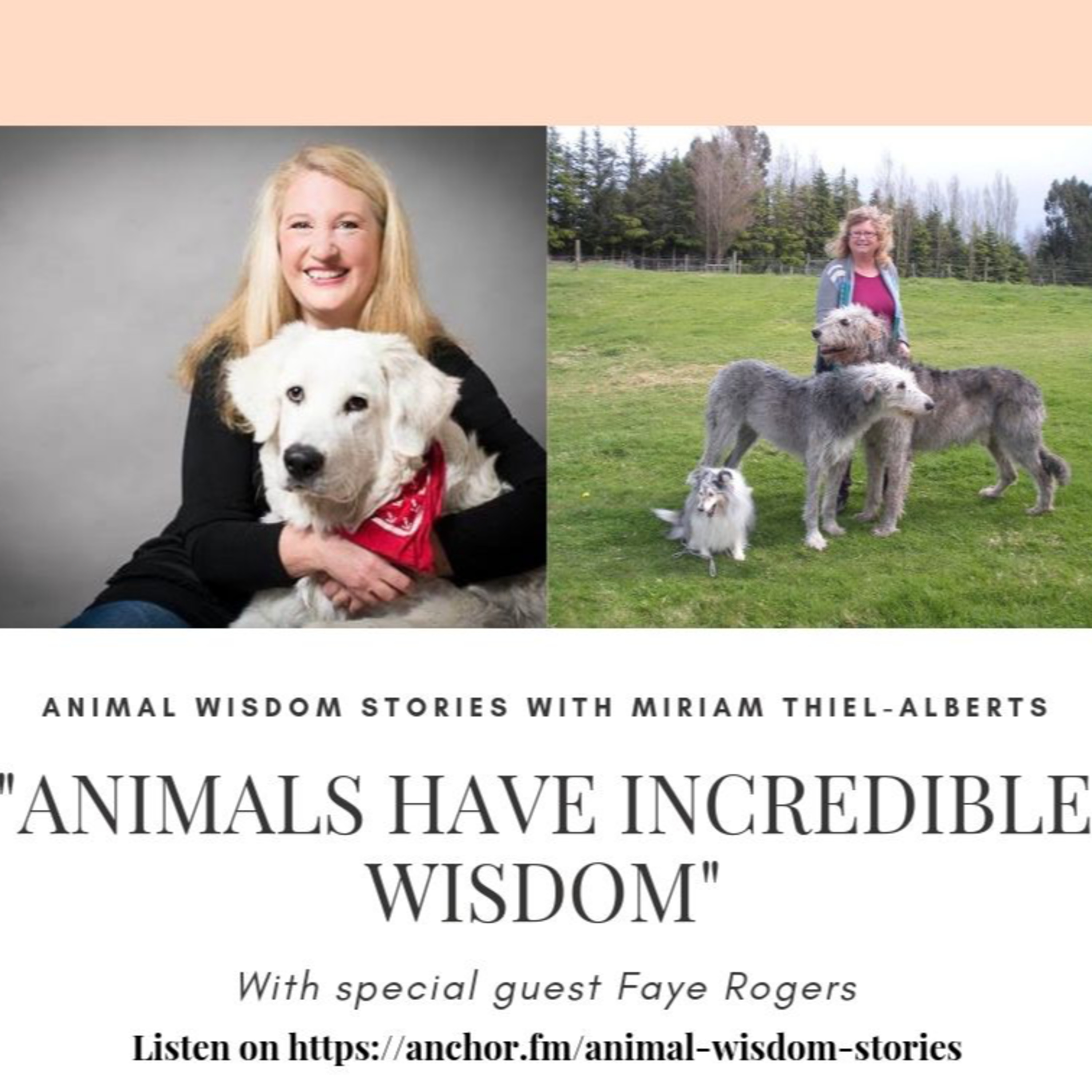 Animal Wisdom Stories