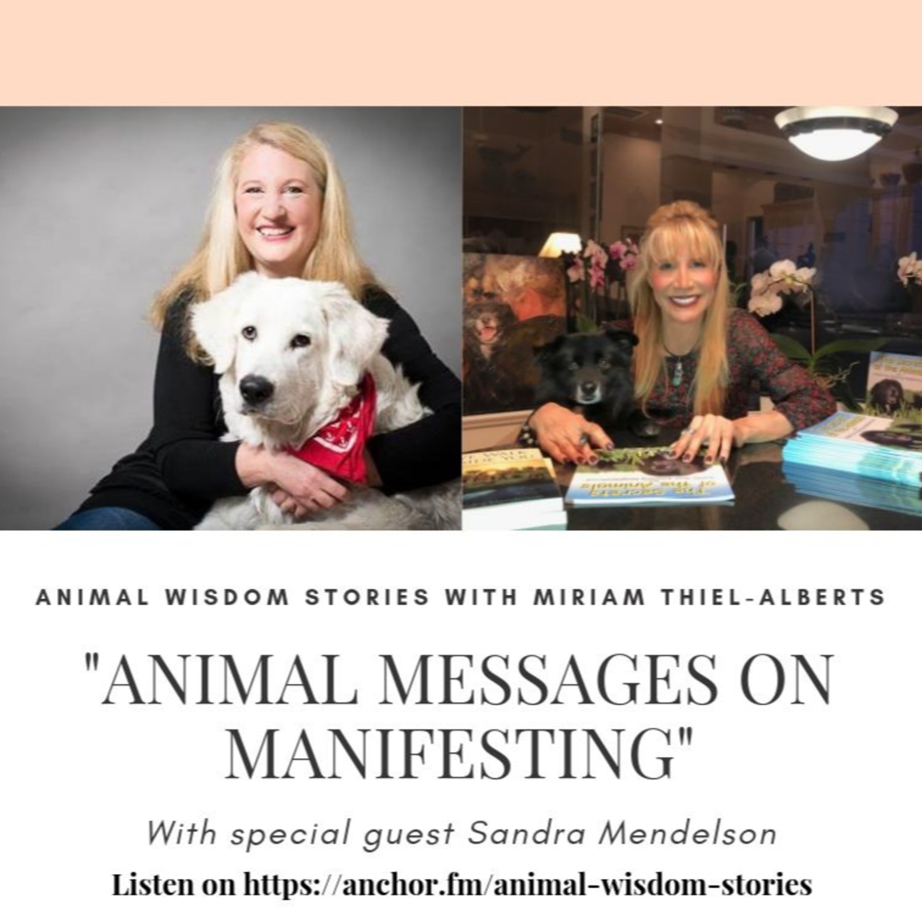 Animal Wisdom Stories