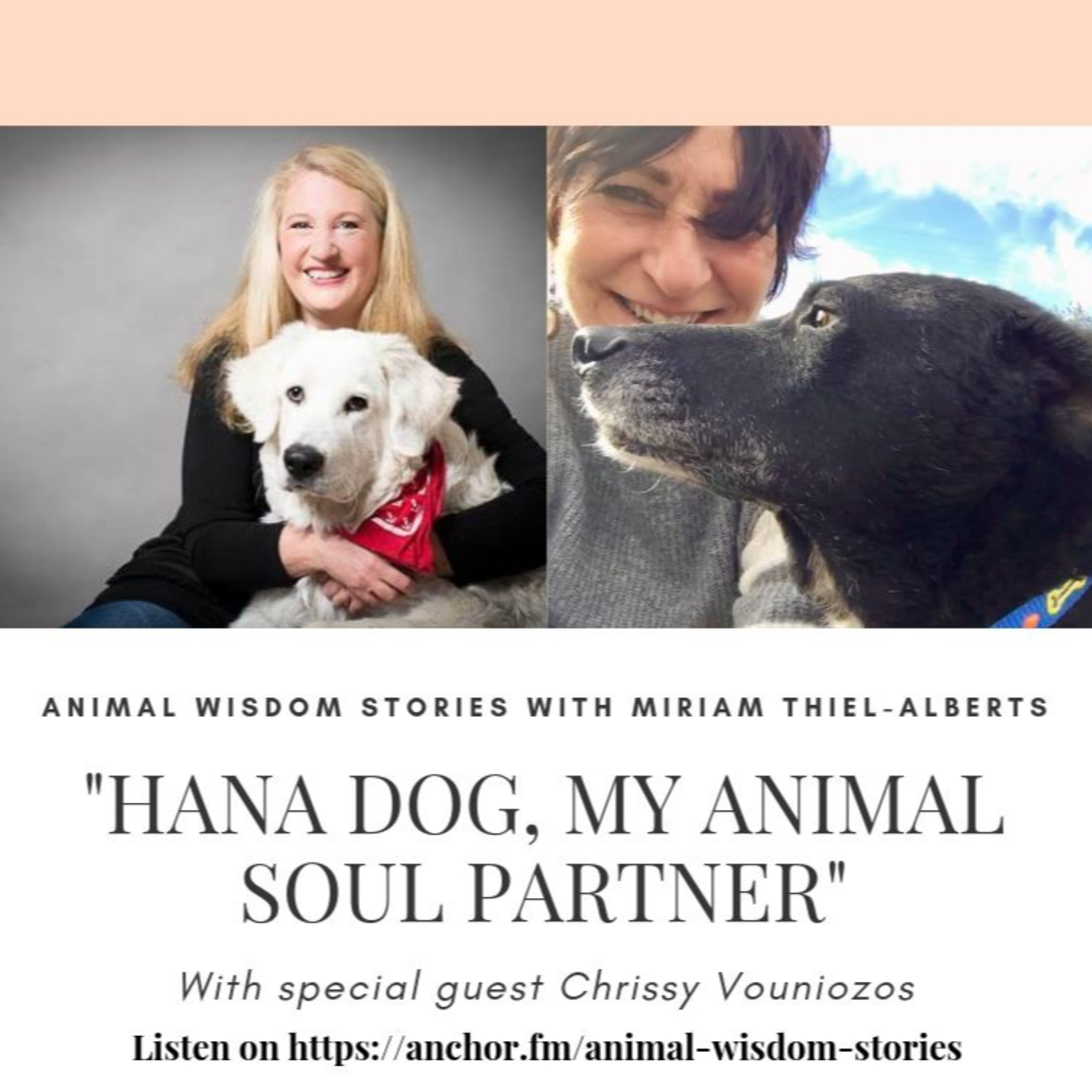 Animal Wisdom Stories