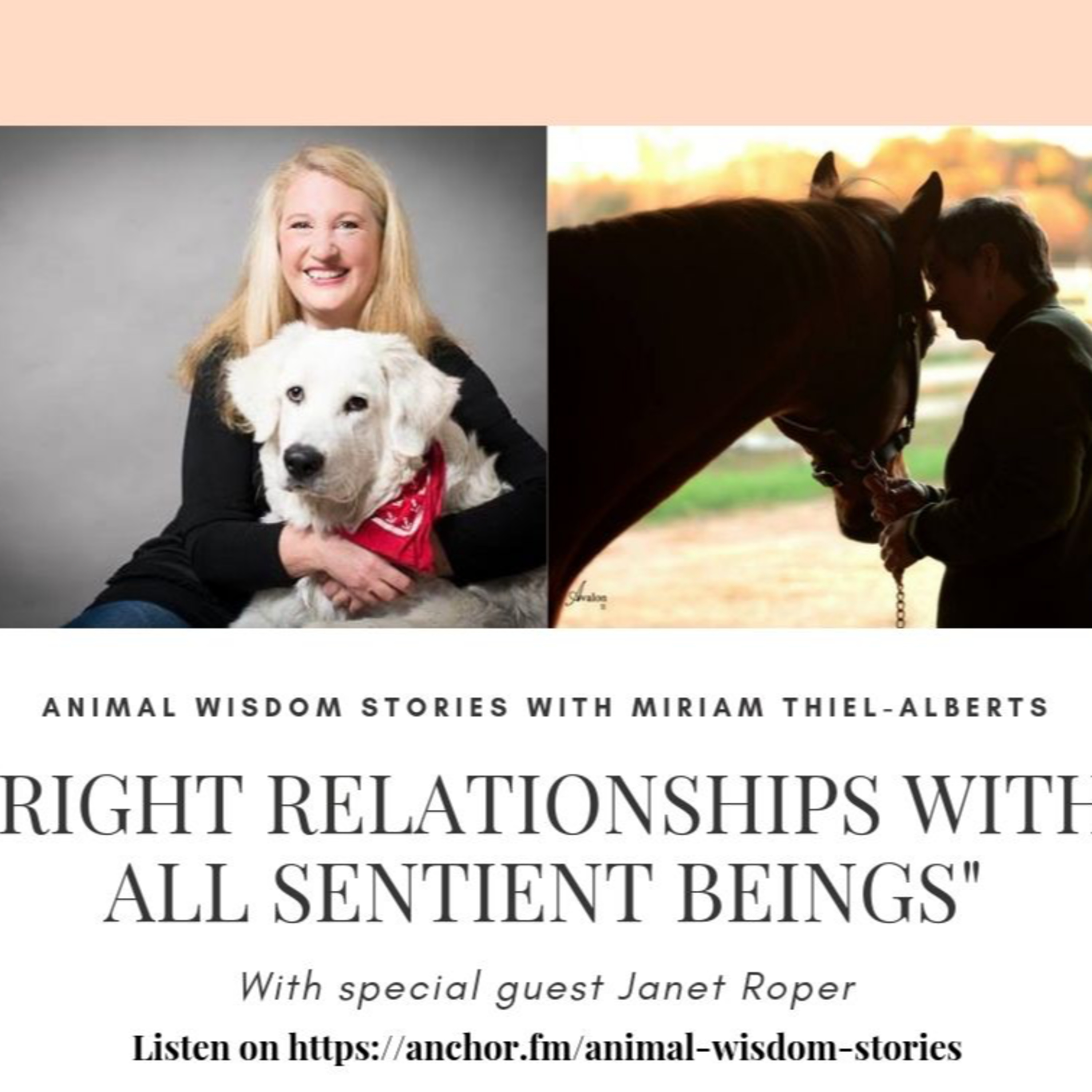 Animal Wisdom Stories