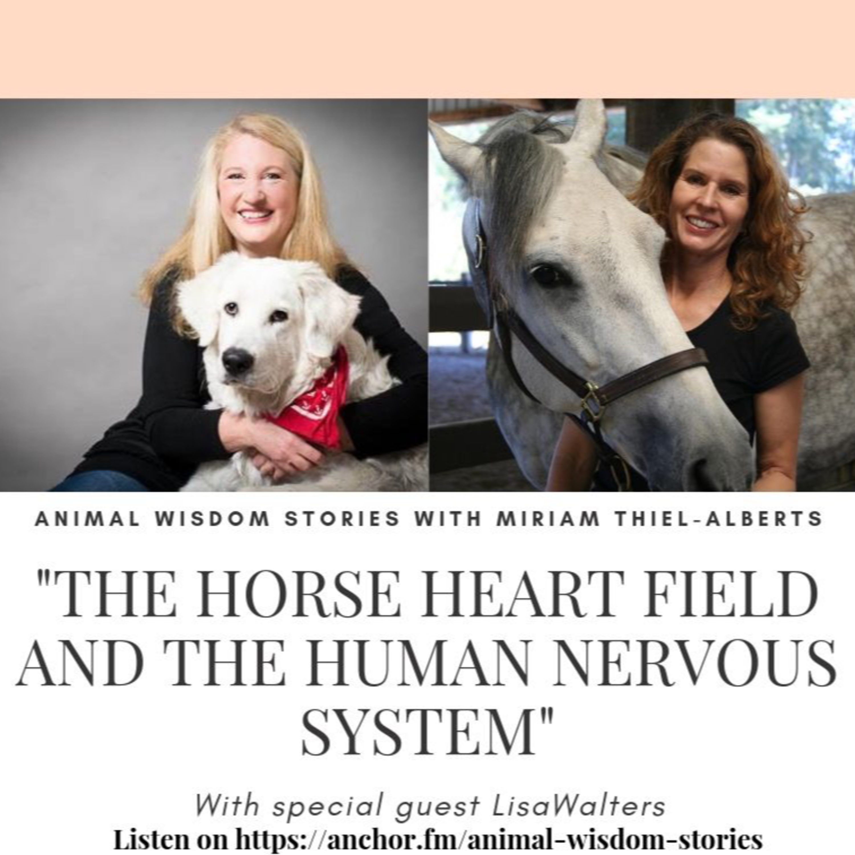 Animal Wisdom Stories
