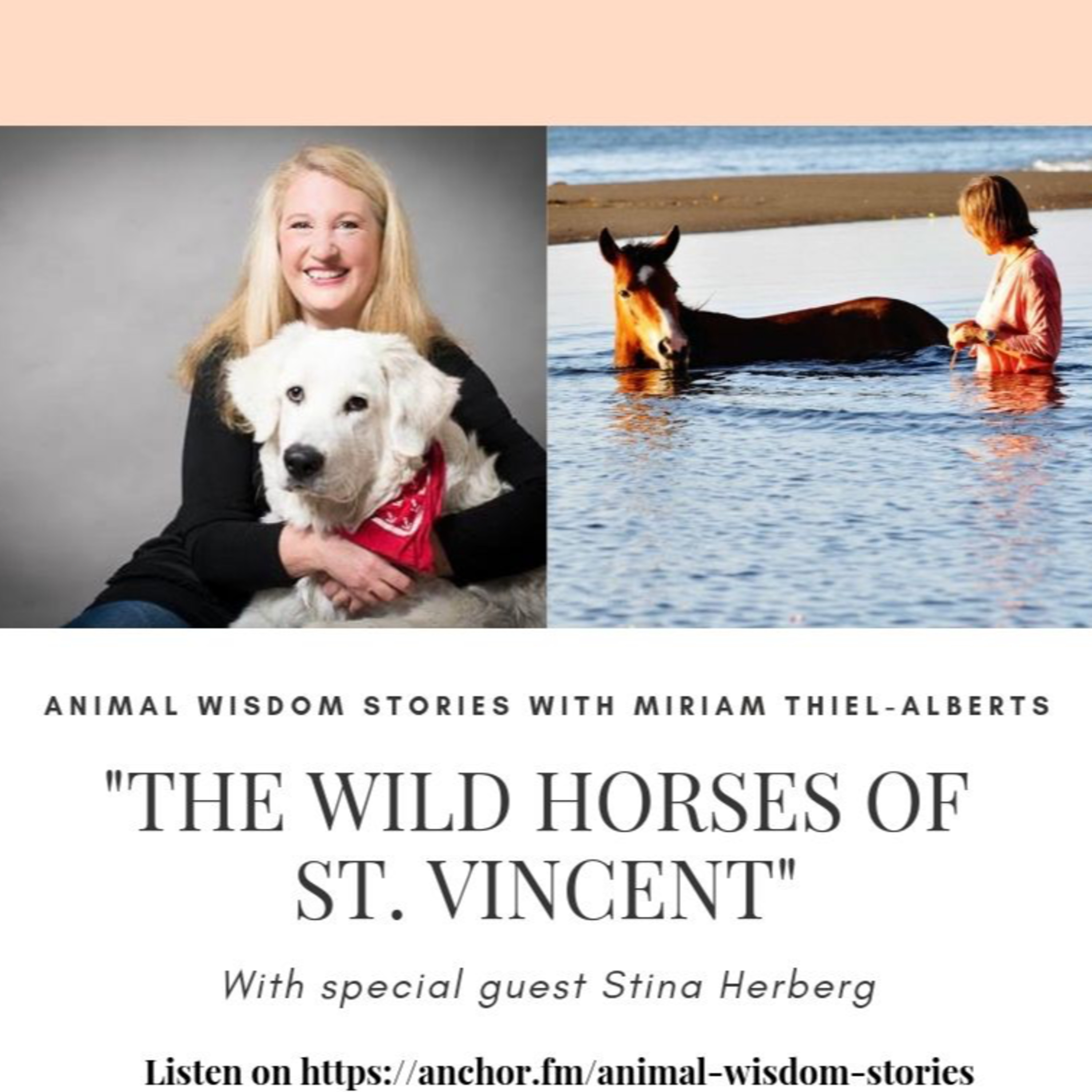 Animal Wisdom Stories