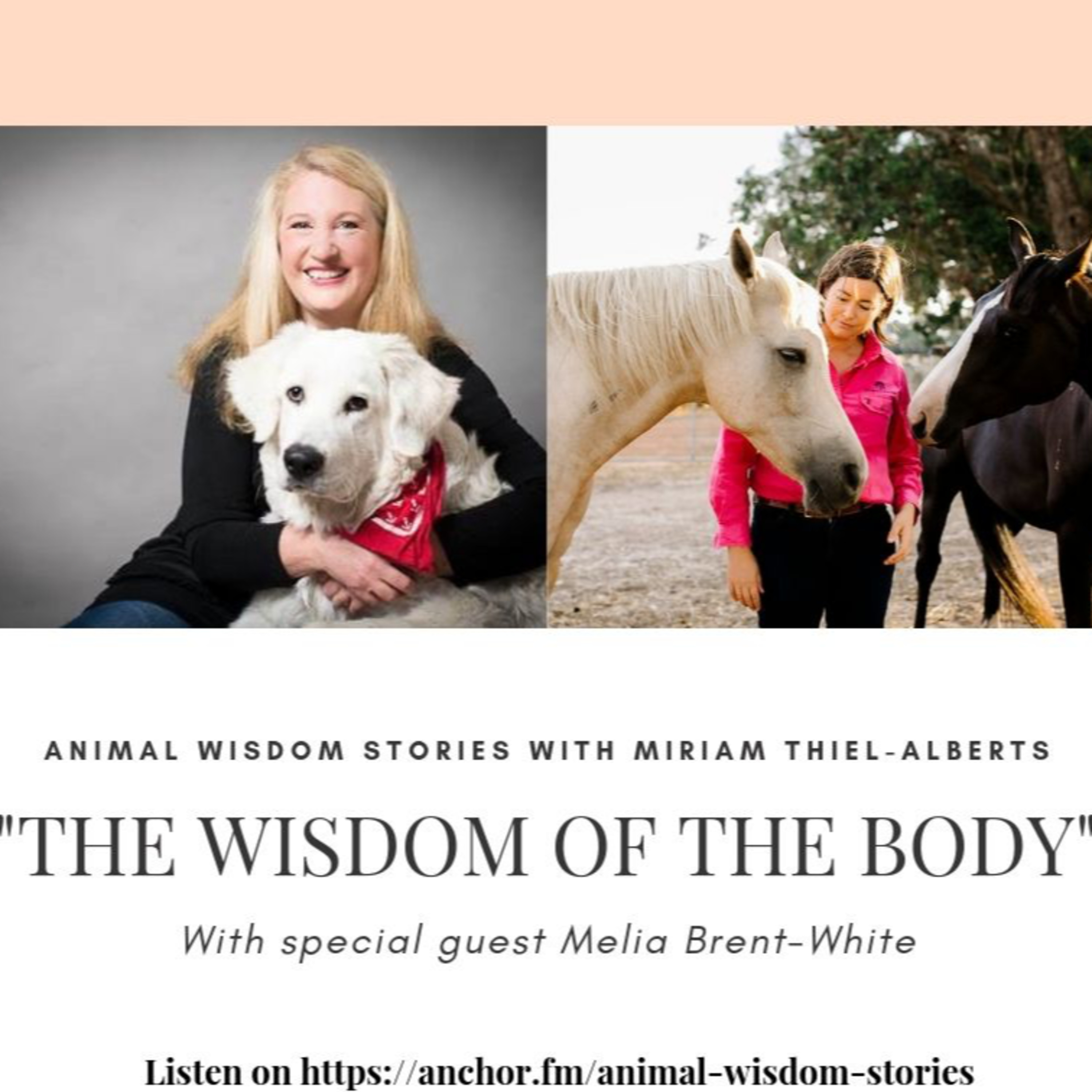 Animal Wisdom Stories