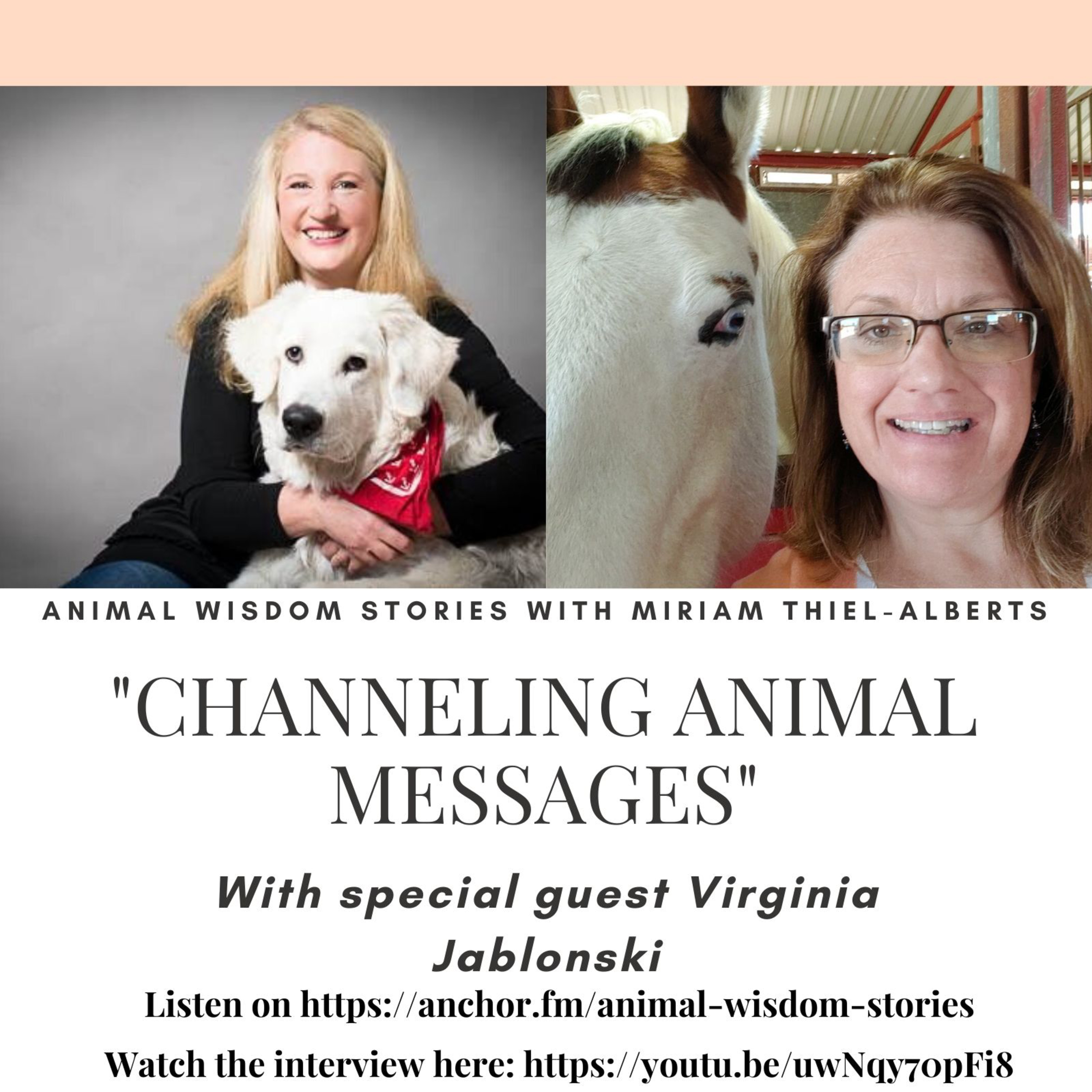 Animal Wisdom Stories
