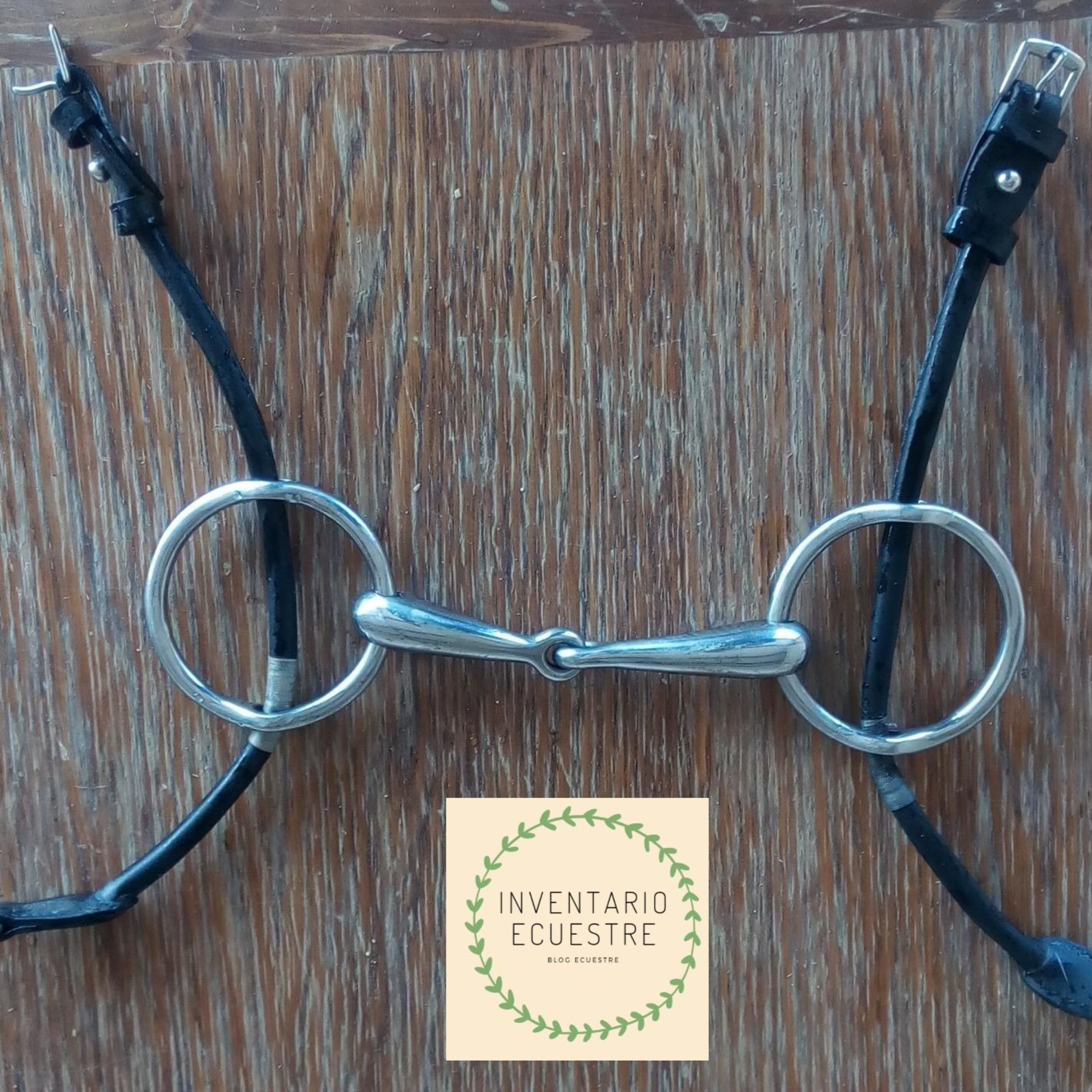 Inventario Ecuestre