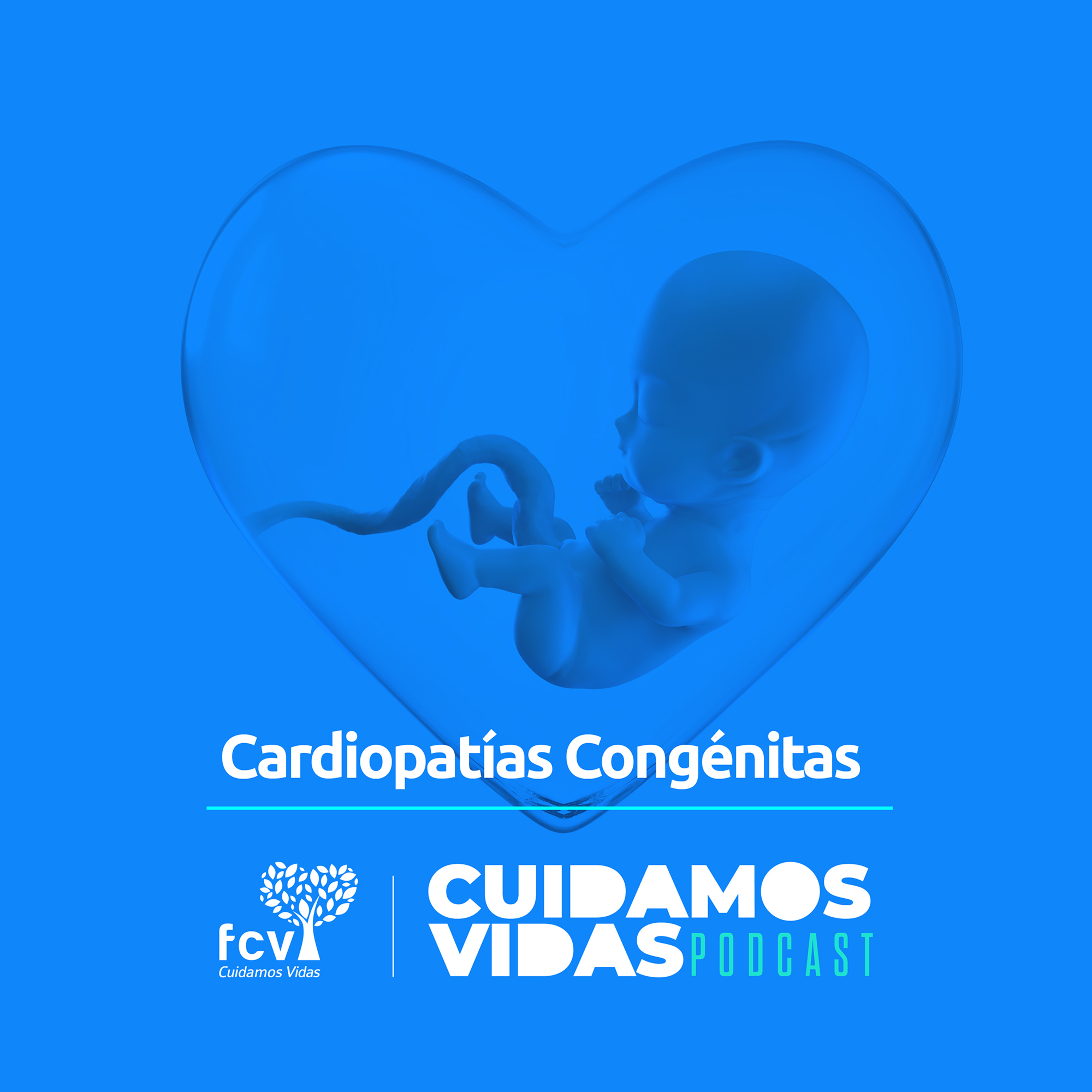 CUIDAMOS VIDAS - FCV