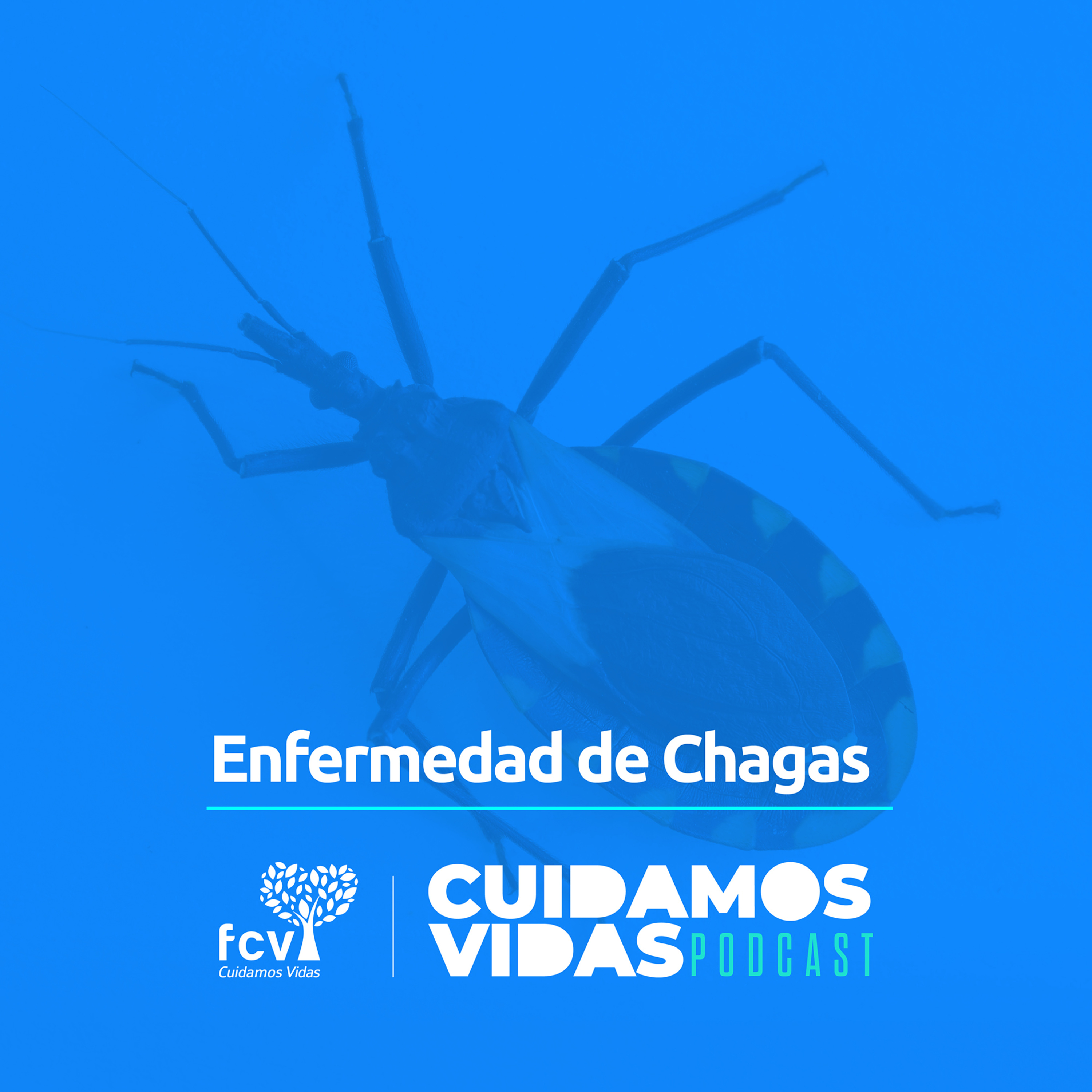CUIDAMOS VIDAS - FCV