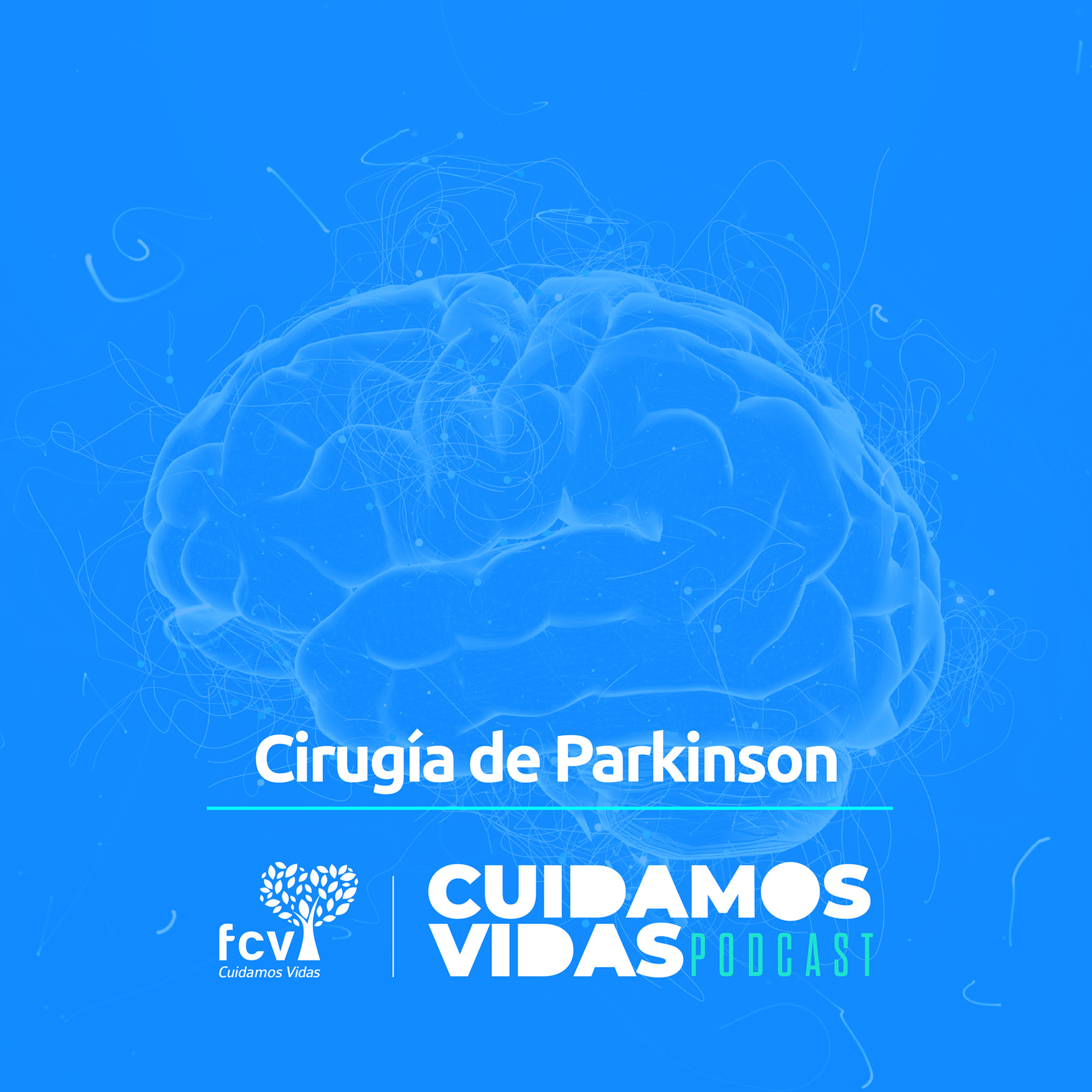 CUIDAMOS VIDAS - FCV