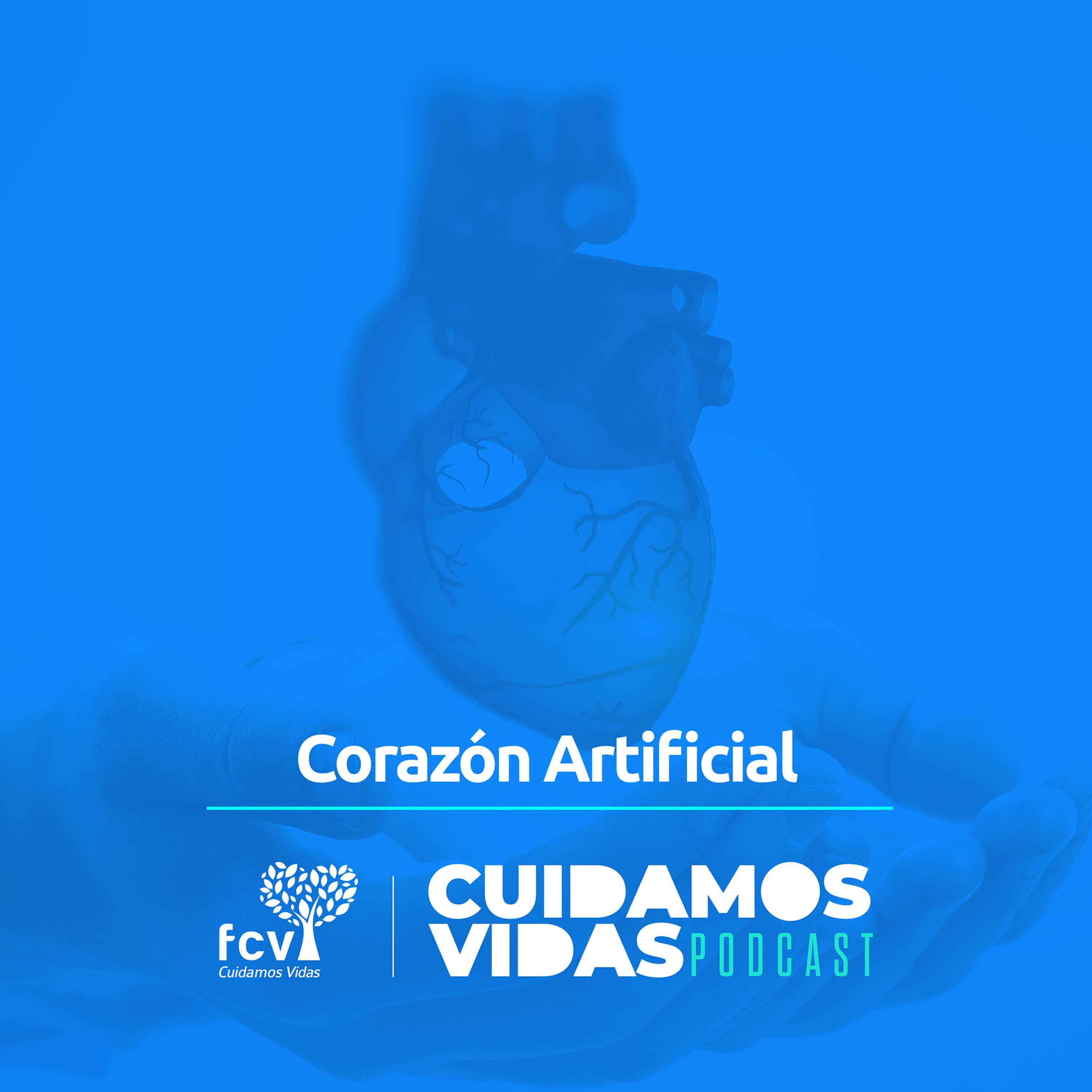 CUIDAMOS VIDAS - FCV