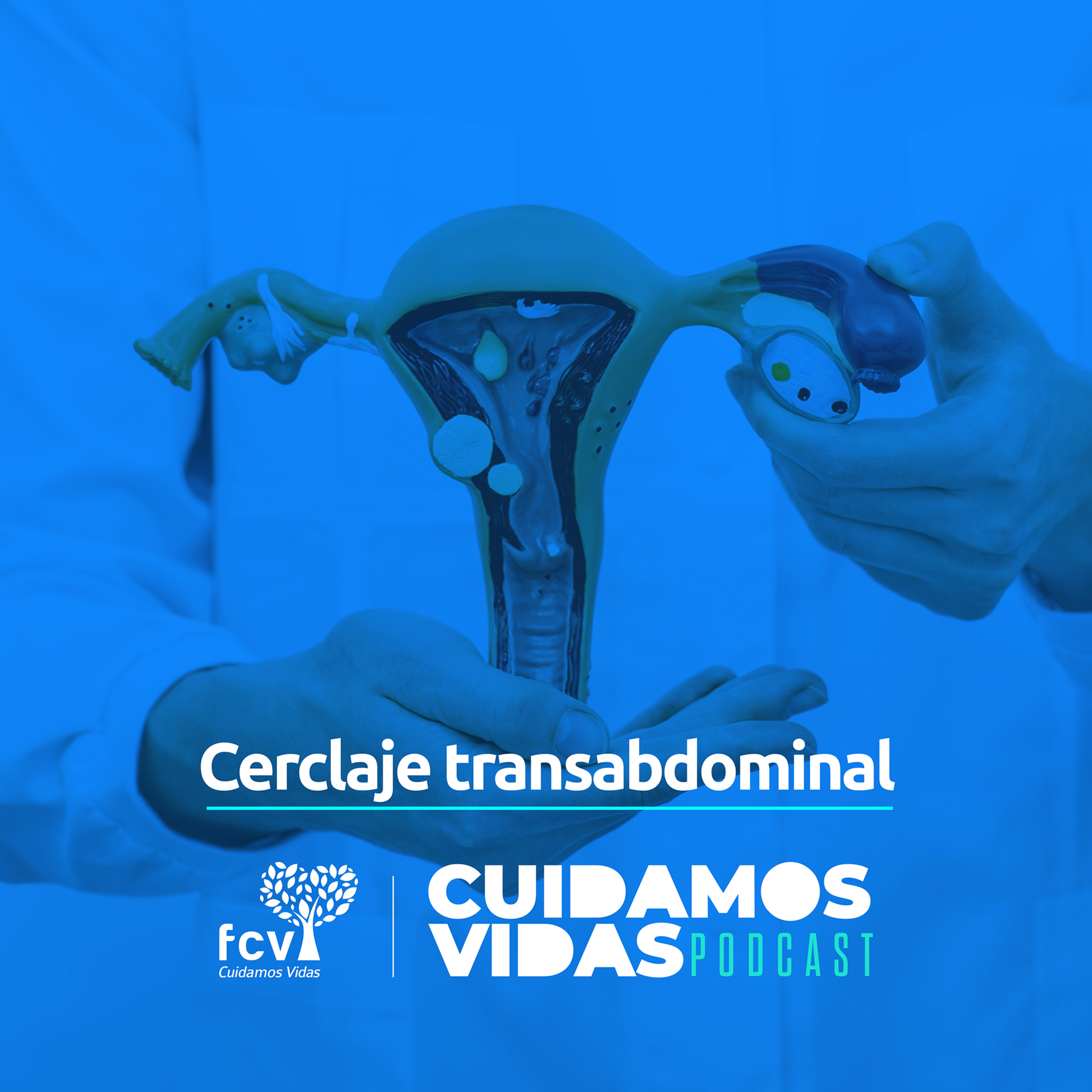 CUIDAMOS VIDAS - FCV
