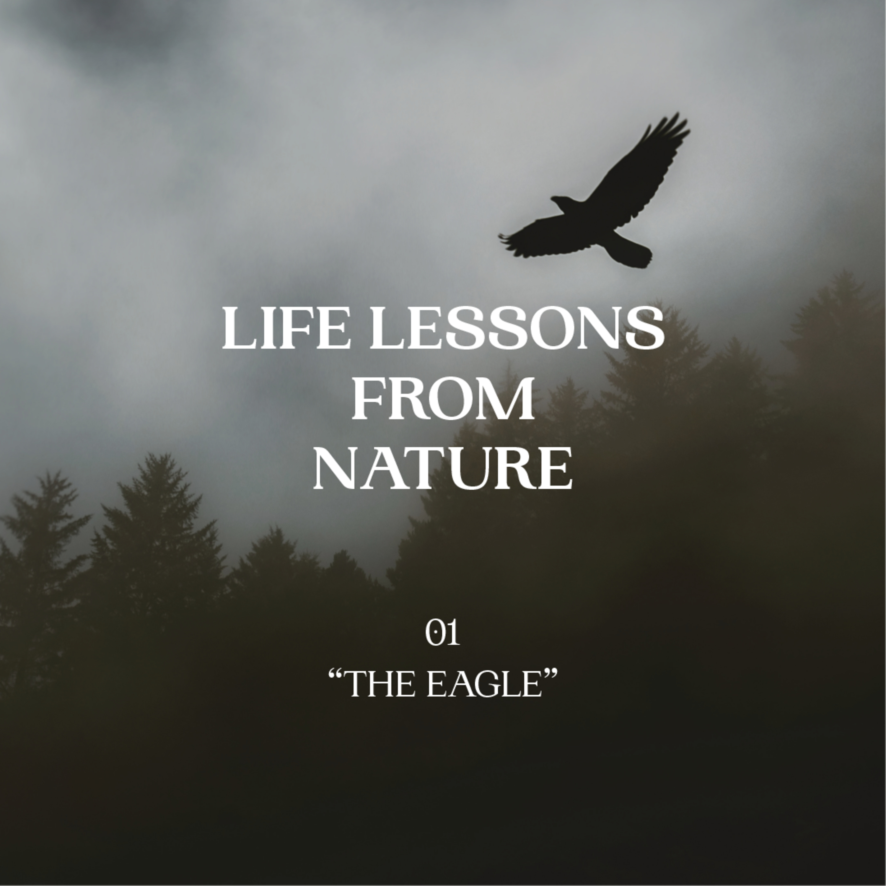 The Eagle, January 2nd Sermon episode artwork