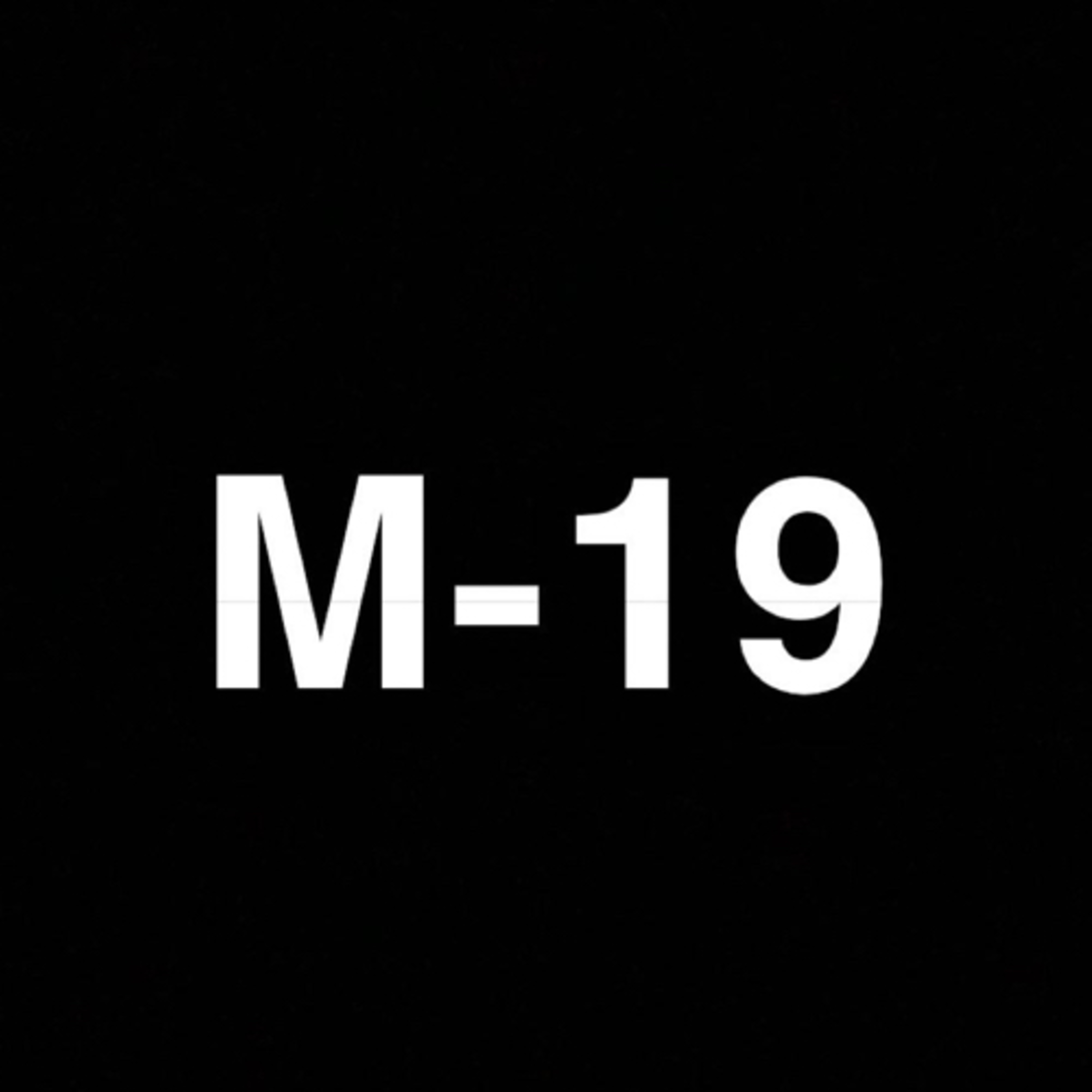 M-19 
