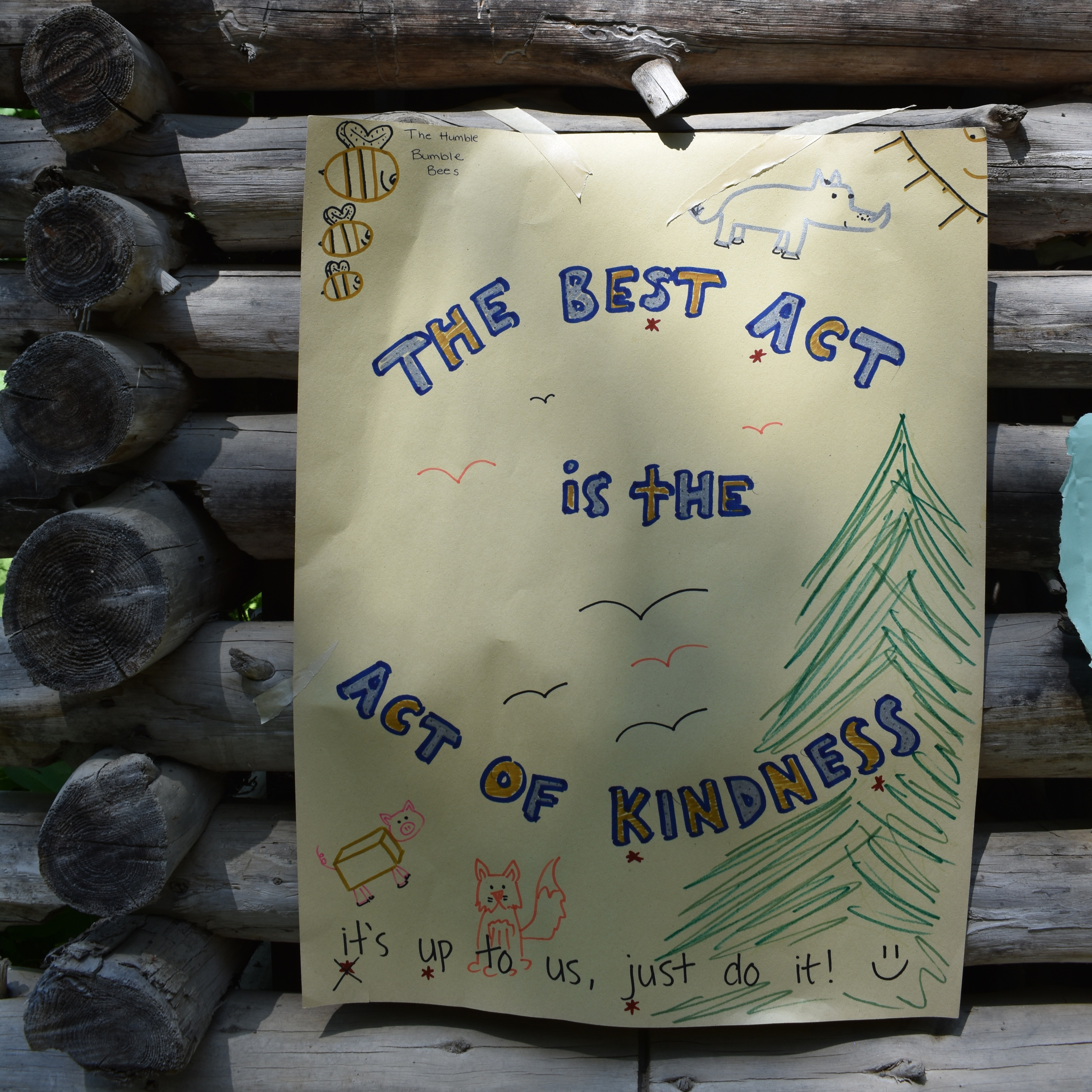 The Bridge - Courage & Kindness