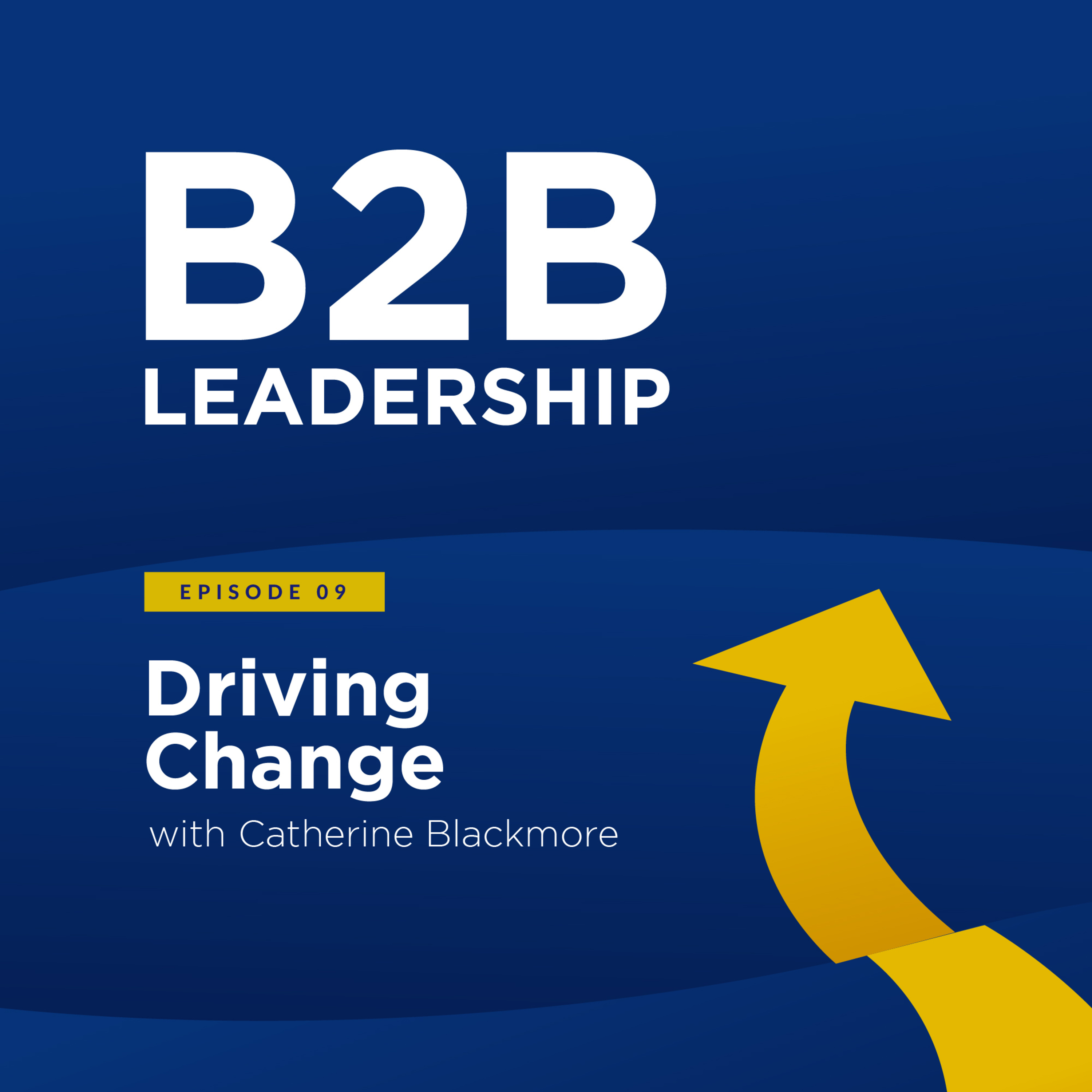 B2B Leadership Podcast