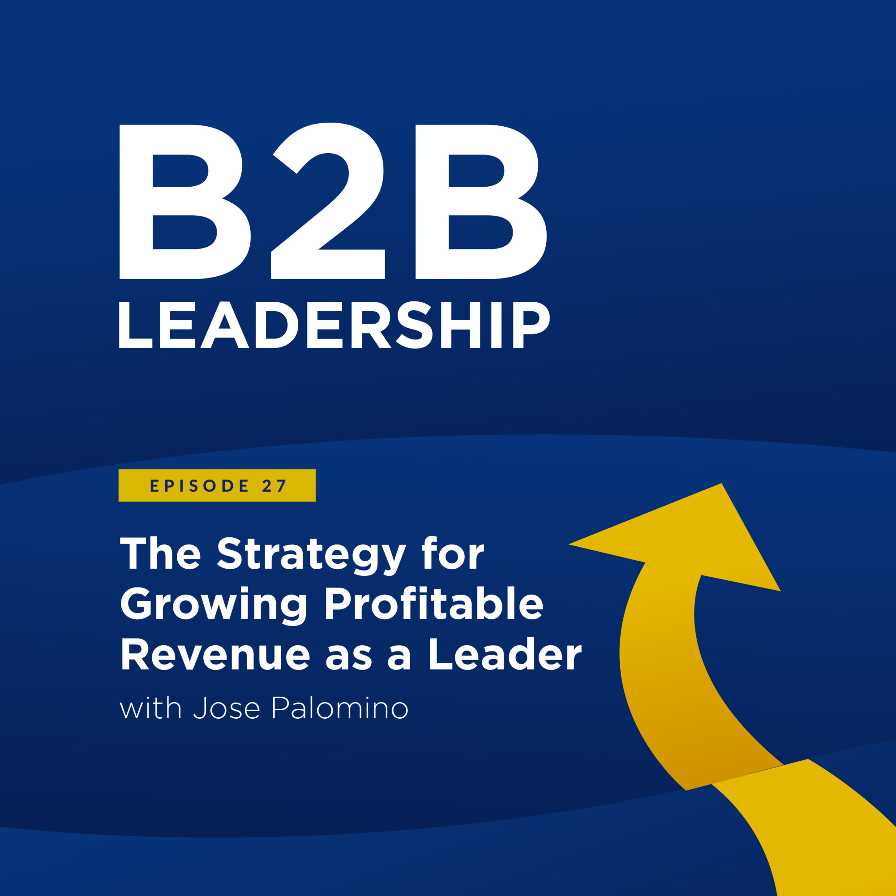 B2B Leadership Podcast