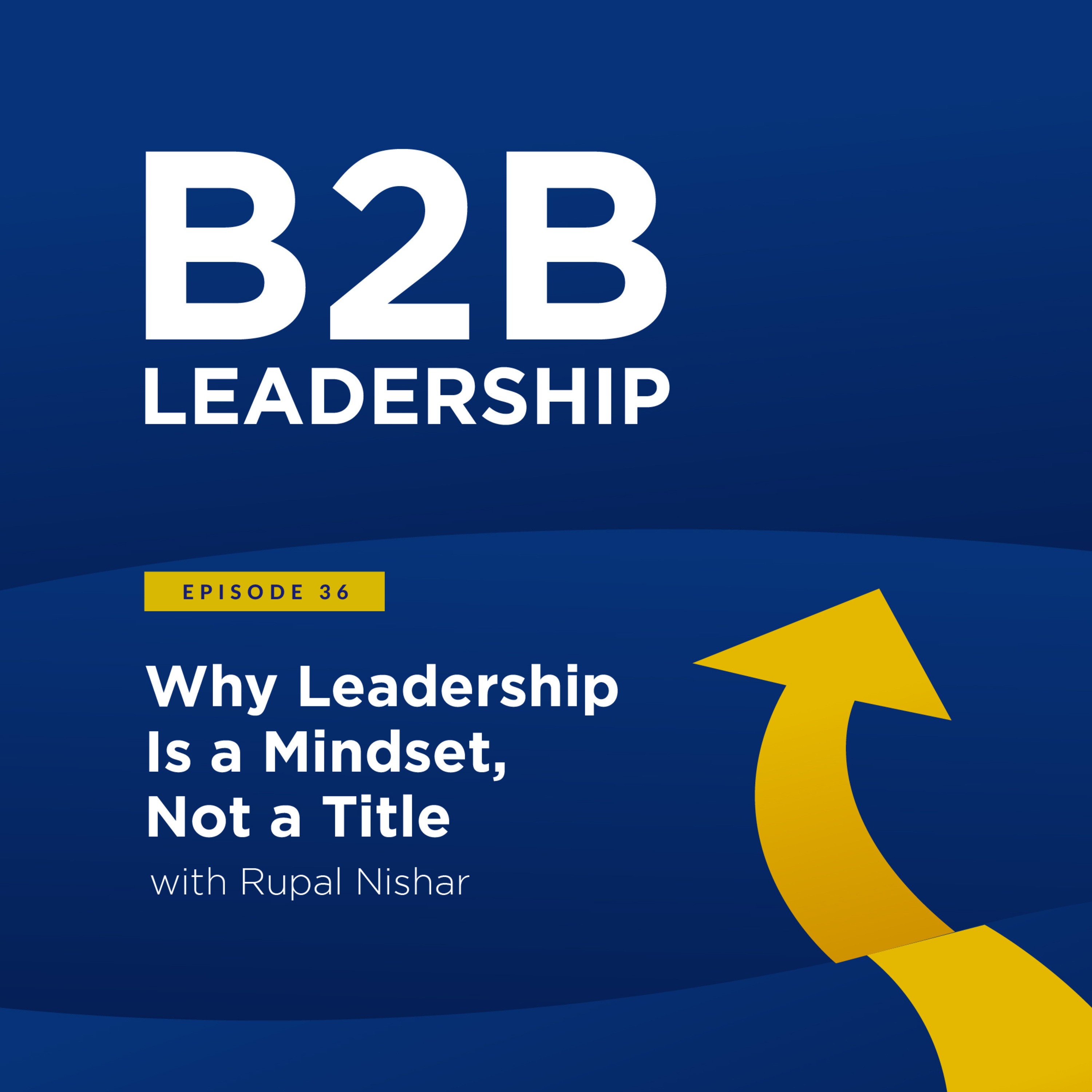 B2B Leadership Podcast