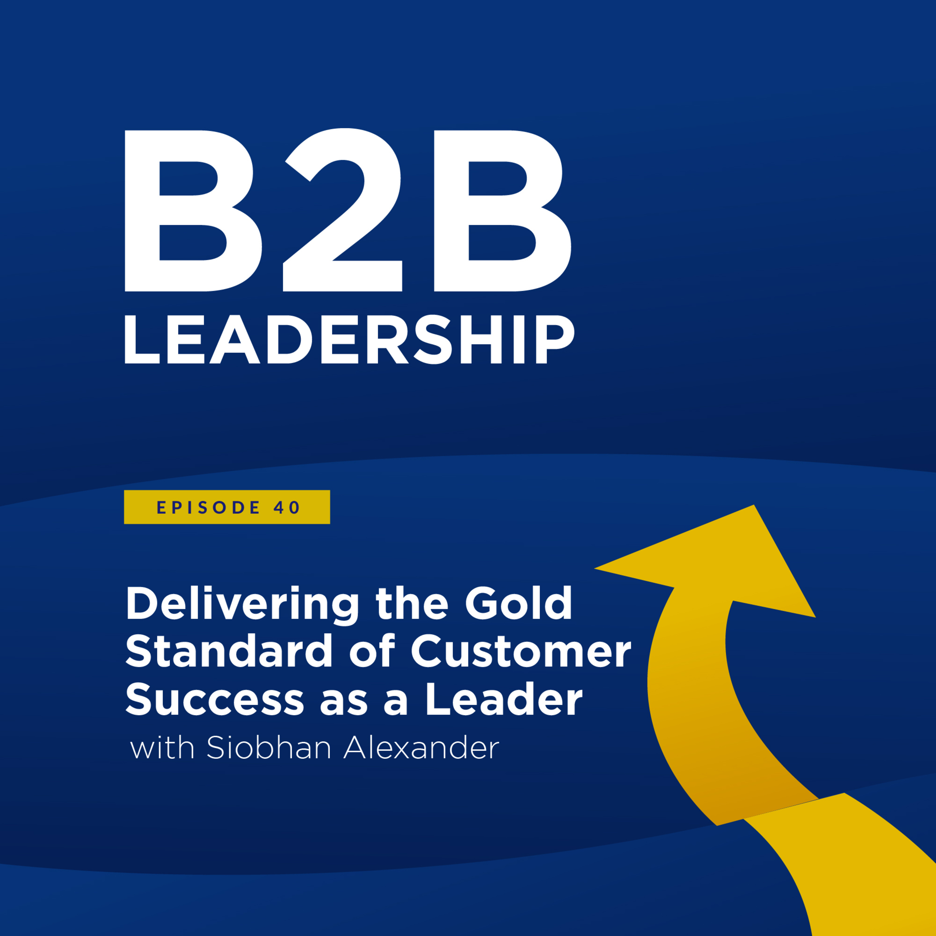 B2B Leadership Podcast