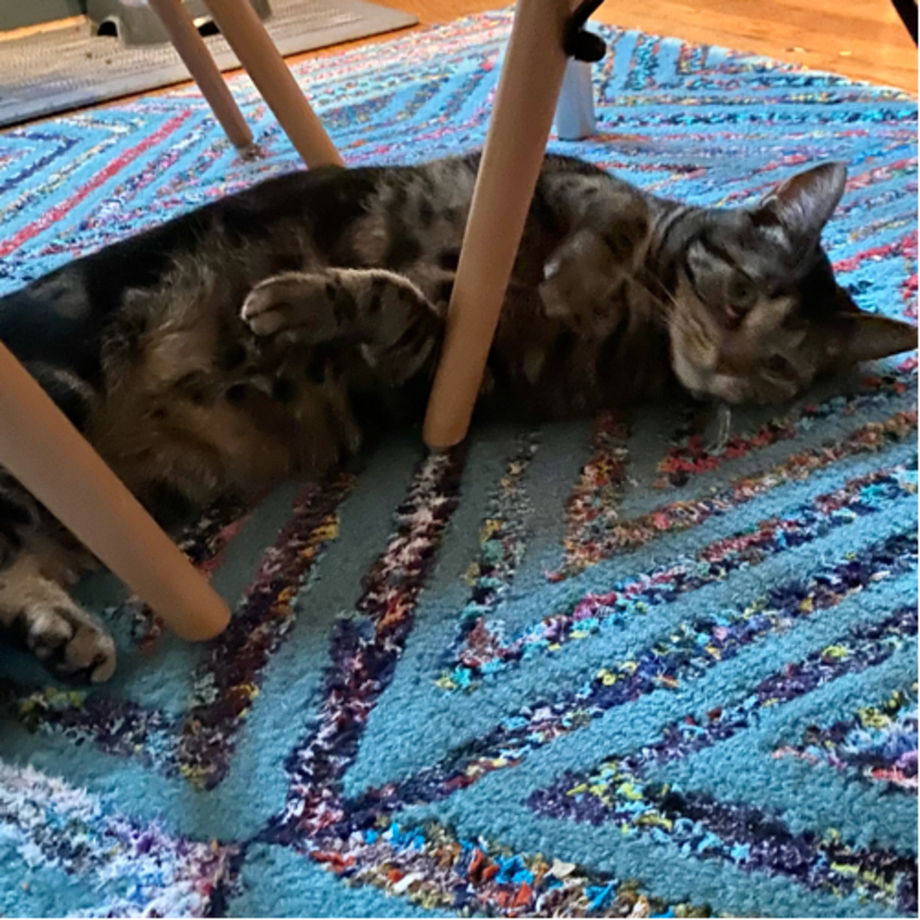 Yoga Flow Warm Up, Part 1