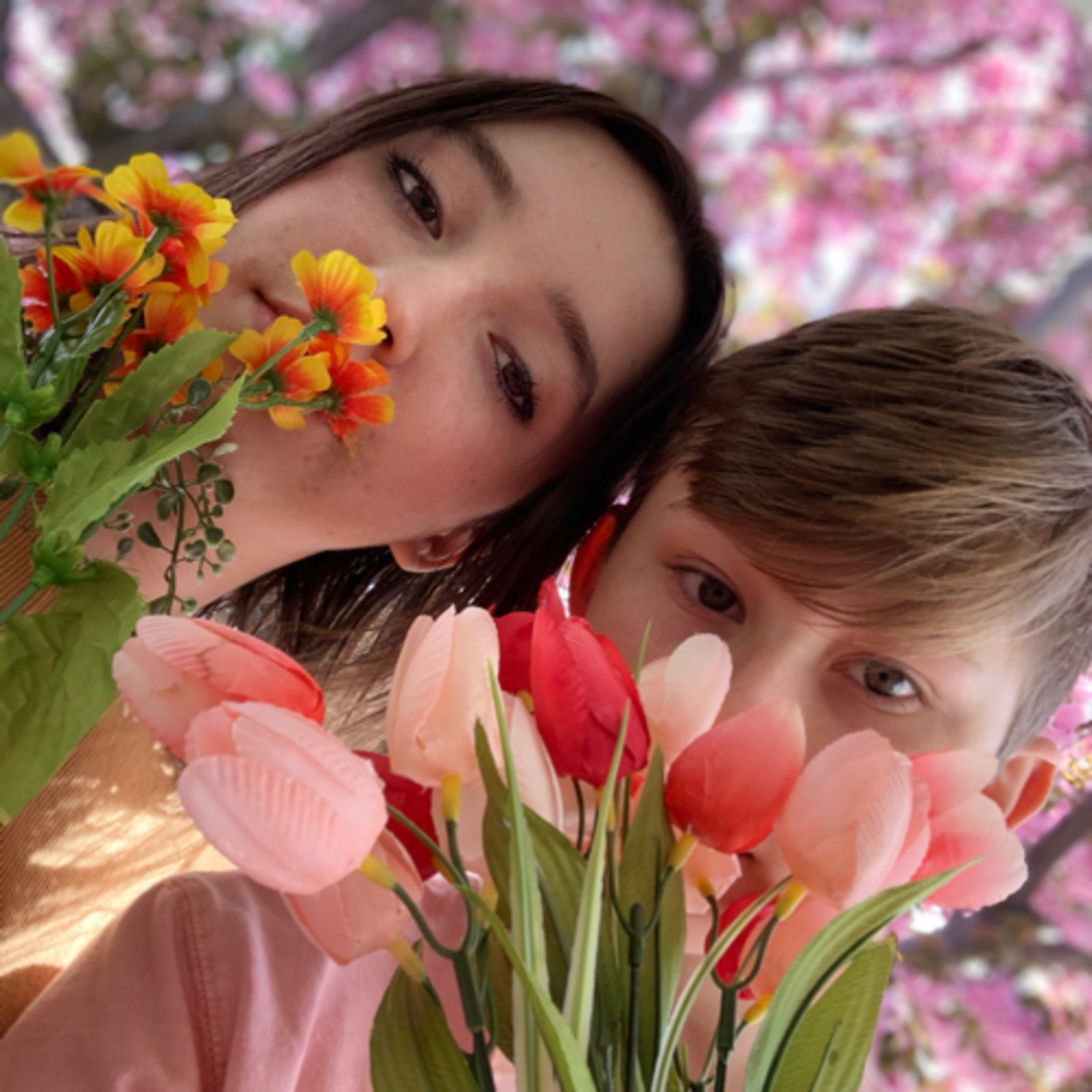 Welcome to Tea Time! Welcome to Tea Time!