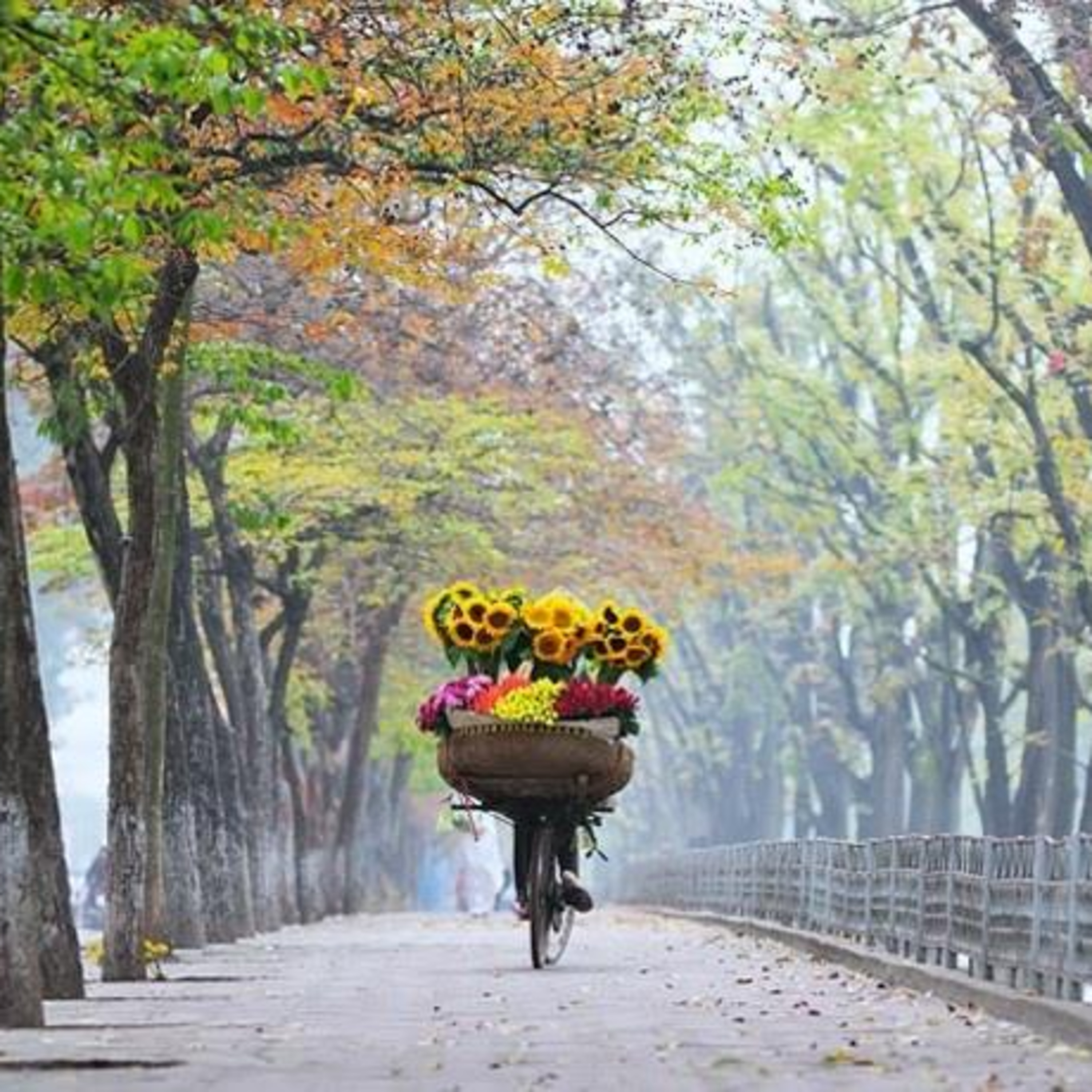 Hãy nói về cuộc đời