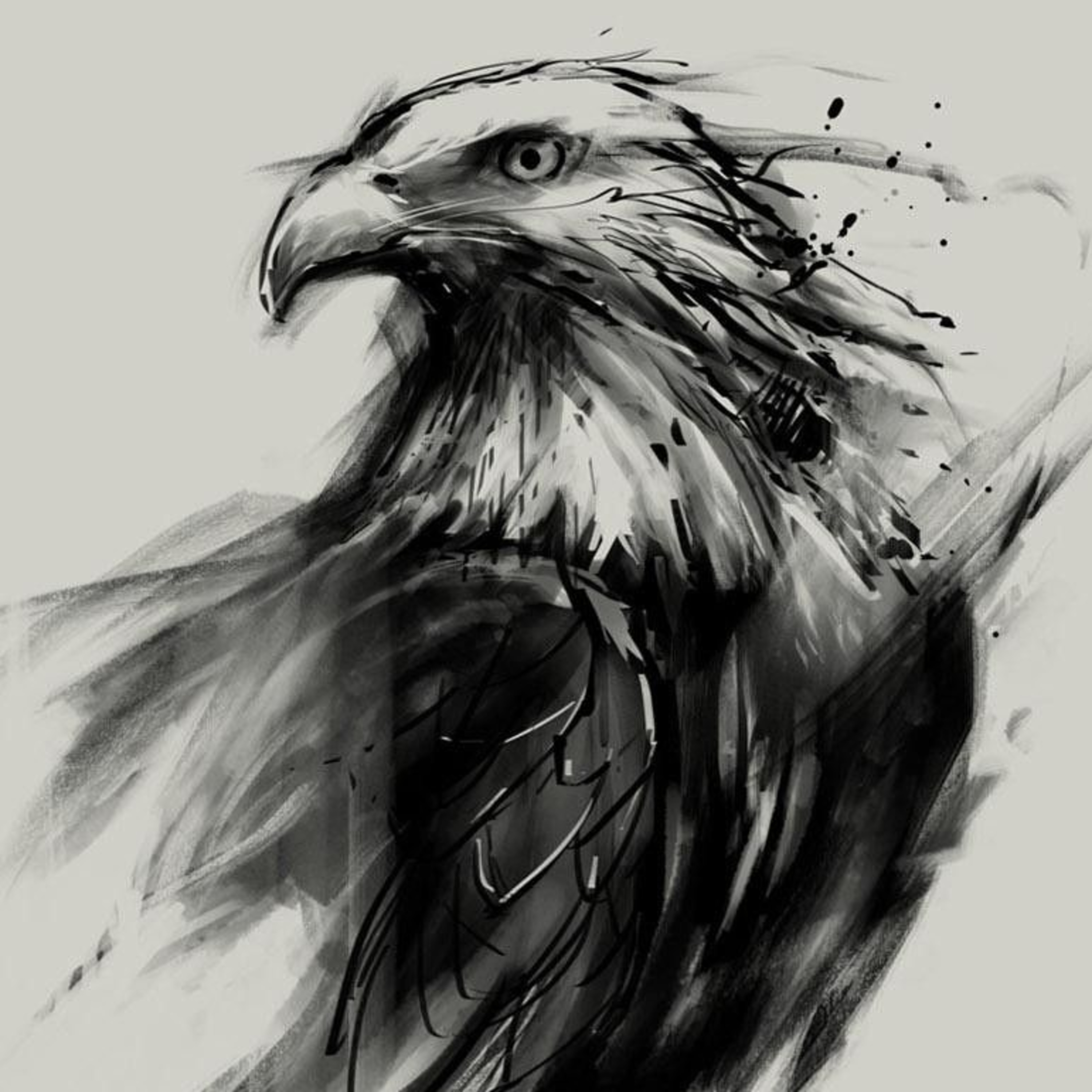 CHIM ƯNG THẦN - Truyện cổ Grimm - Kể chuyện bé nghe episode artwork
