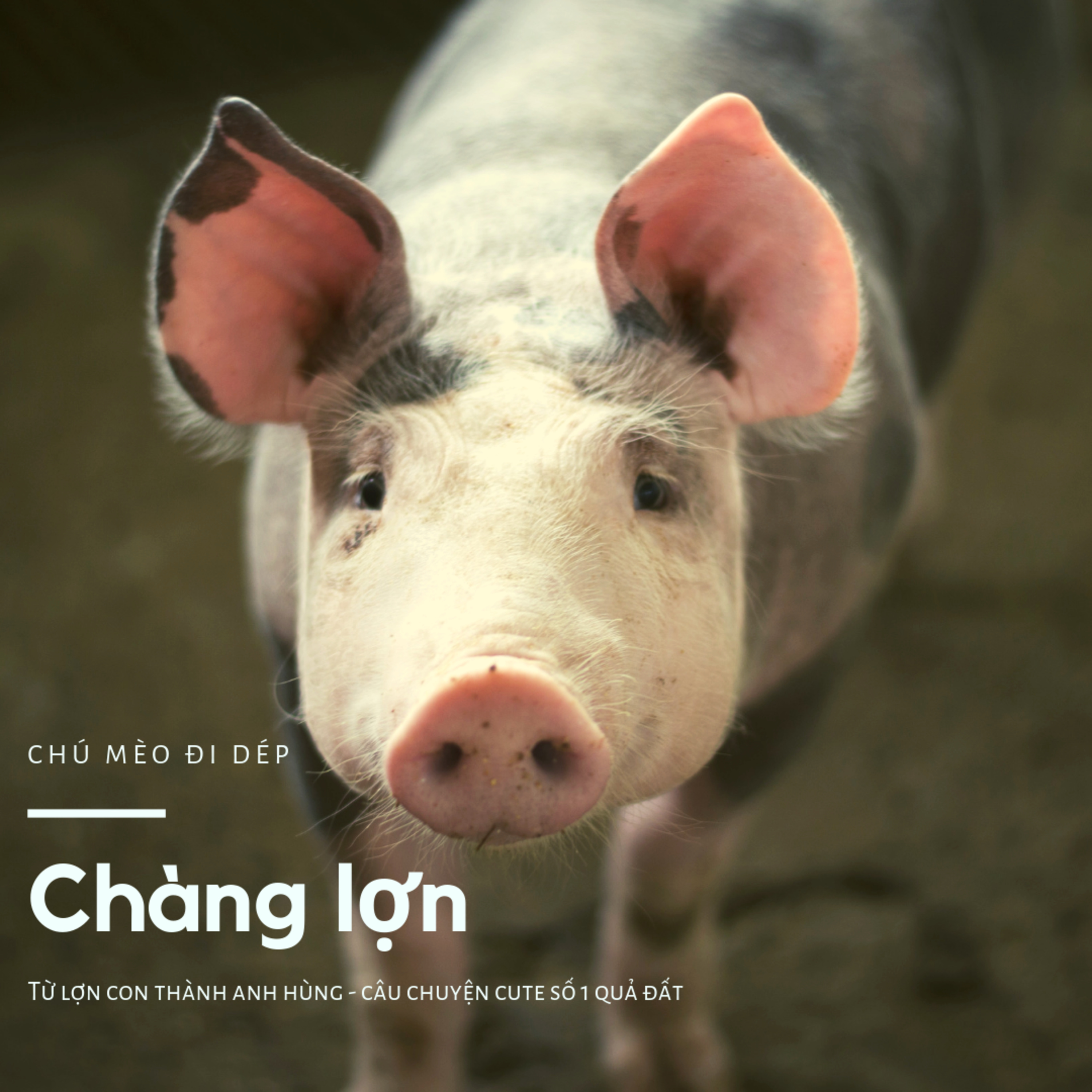 CHÀNG LỢN - CỔ TÍCH VIỆT NAM - ĐỌC TRUYỆN BÉ NGHE  episode artwork
