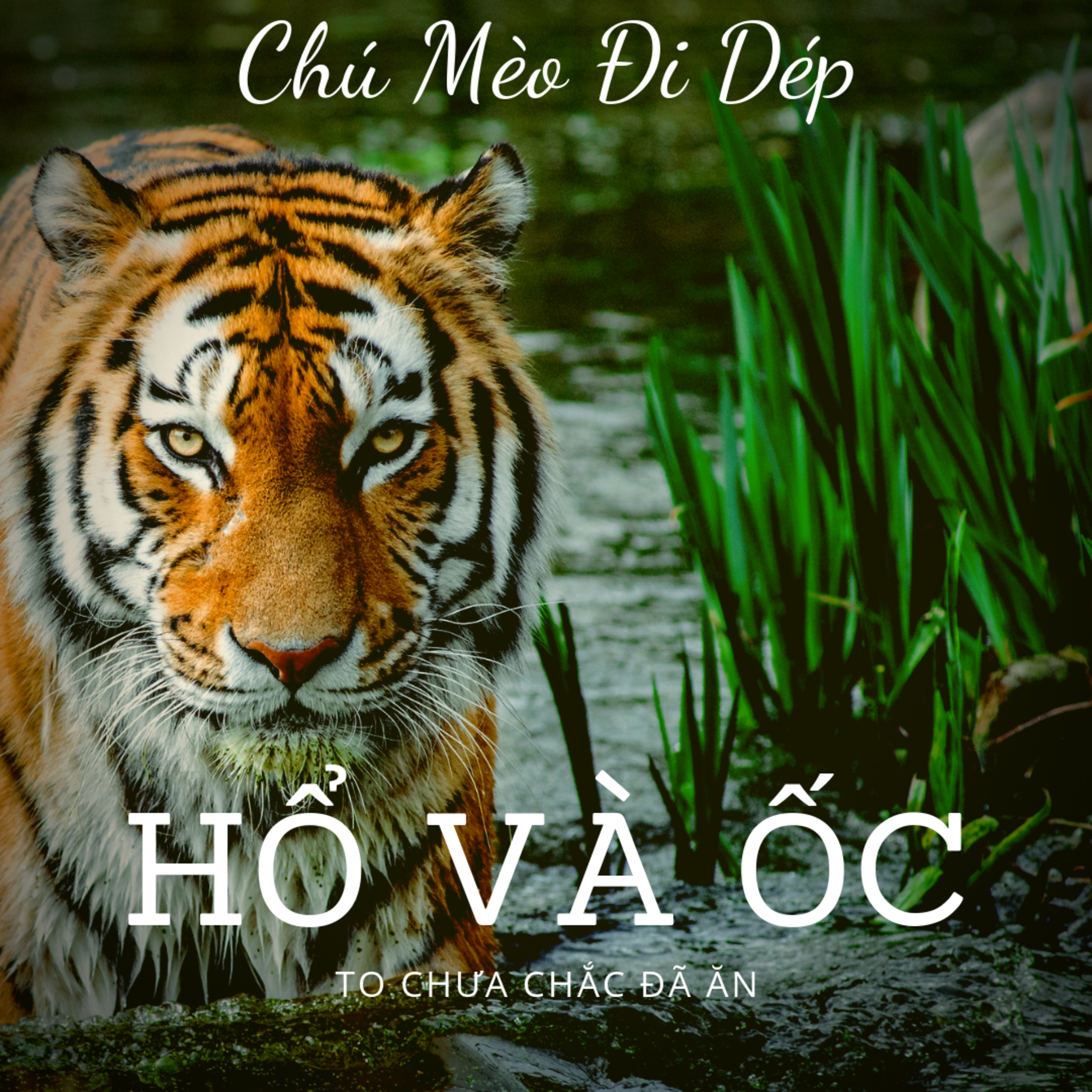 HỔ VÀ ỐC - CỔ TÍCH VIỆT NAM - ĐỌC TRUYỆN BÉ NGHE 