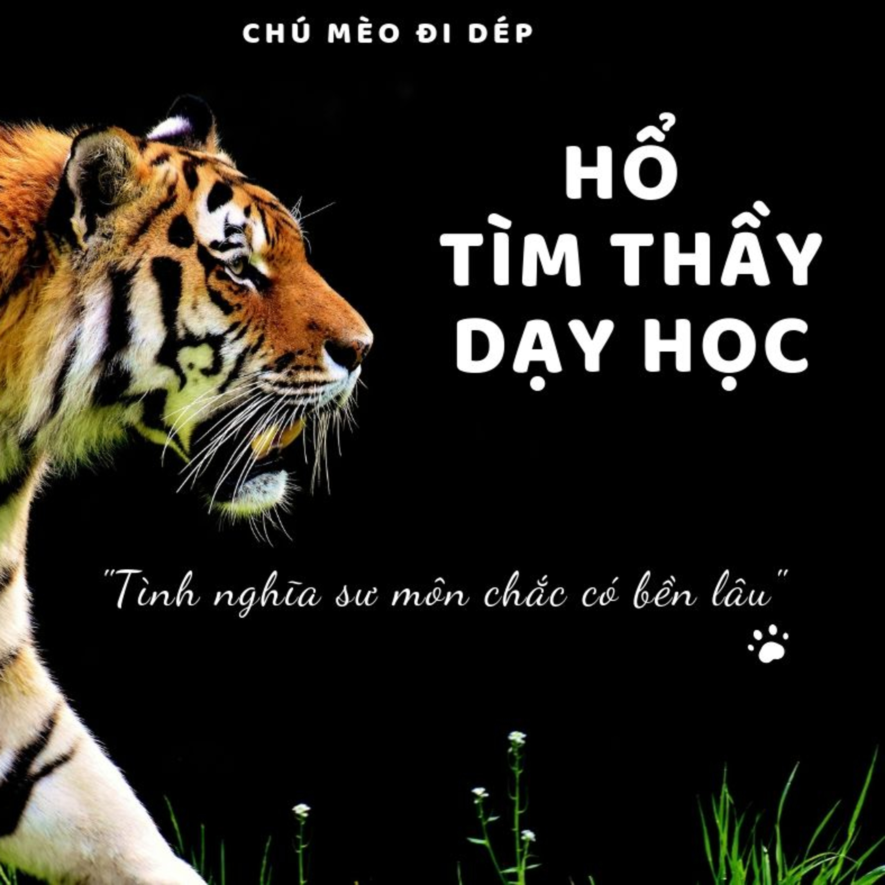 HỔ TÌM THẦY DẠY HỌC -CỔ TÍCH VIỆT NAM - ĐỌC TRUYỆN BÉ NGHE 