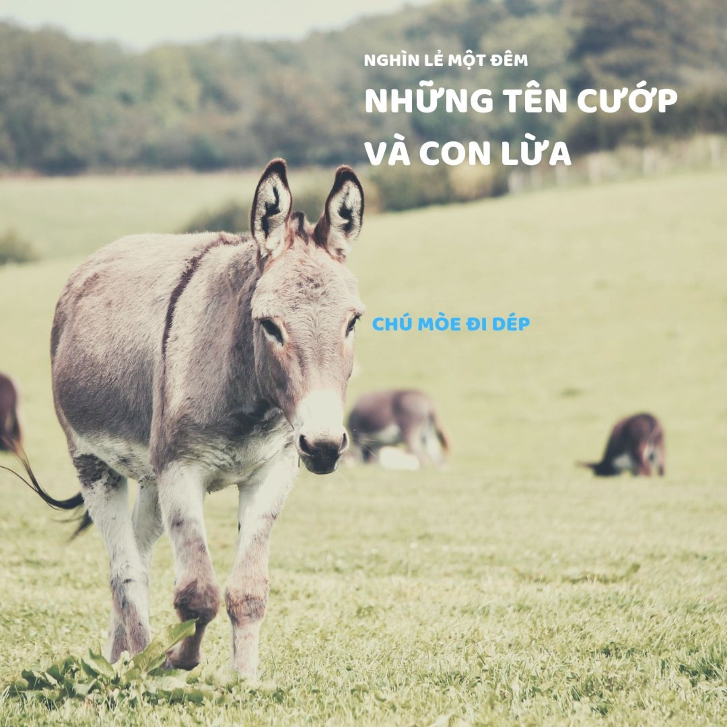 NHỮNG TÊN CƯỚP VÀ CON LỪA -NGHÌN LẺ MỘT ĐÊM - ĐỌC TRUYỆN BÉ NGHE episode artwork