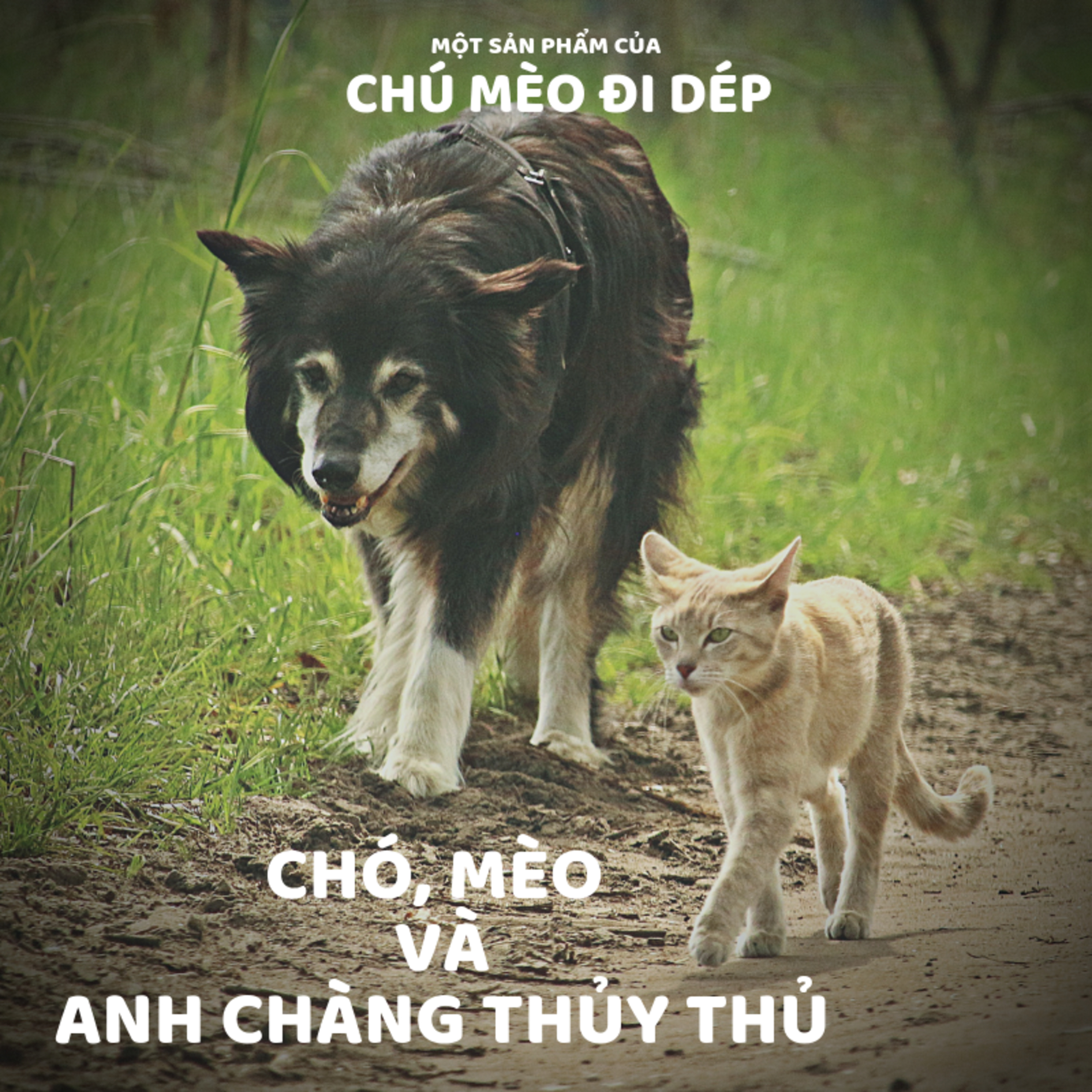 CHÓ,MÈO VÀ ANH CHÀNG THỦY THỦ - CỔ TÍCH VIỆT NAM- ĐỌC TRUYỆN BÉ NGHE episode artwork