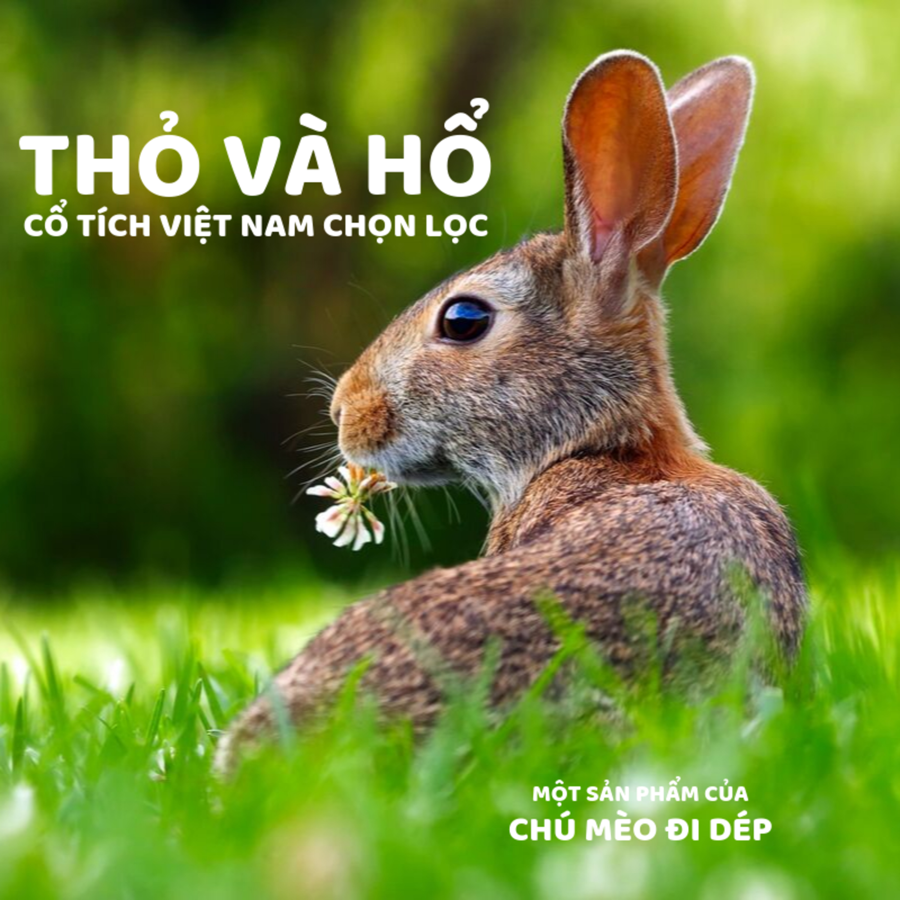 THỎ VÀ HỔ - CỔ TÍCH VIỆT NAM- ĐỌC TRUYỆN BÉ NGHE