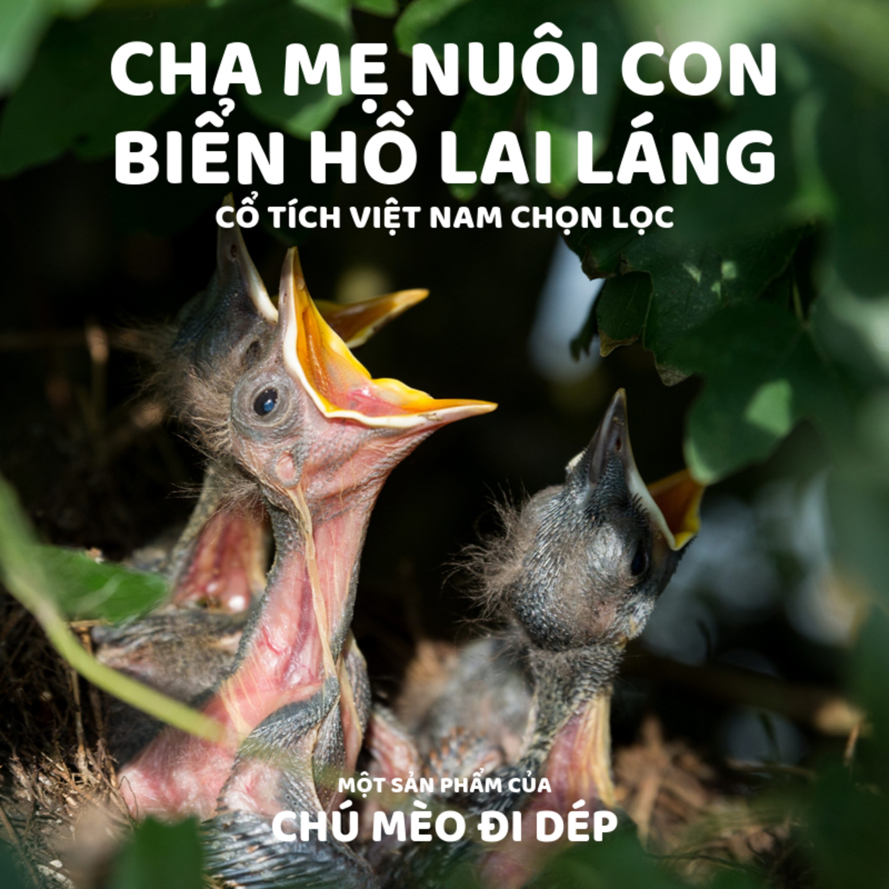 CHA MẸ NUÔI CON BIỂN HỒ LAI LÁNG - TRUYỆN CỔ TÍCH VIỆT NAM - ĐỌC TRUYỆN BÉ NGHE