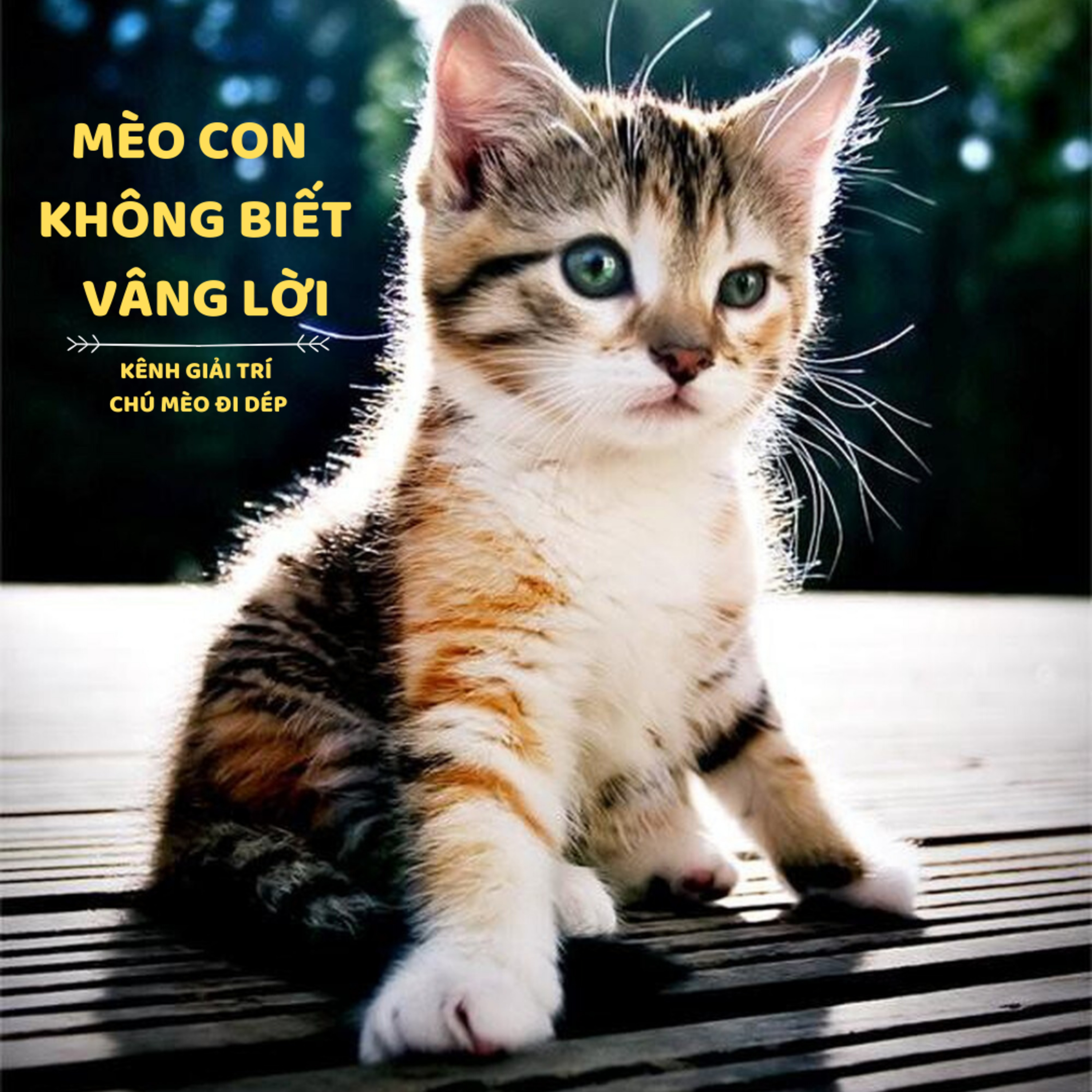 MÈO CON KHÔNG BIẾT VÂNG LỜI - CỔ TÍCH THẾ GIỚI - ĐỌC TRUYỆN BÉ NGHE