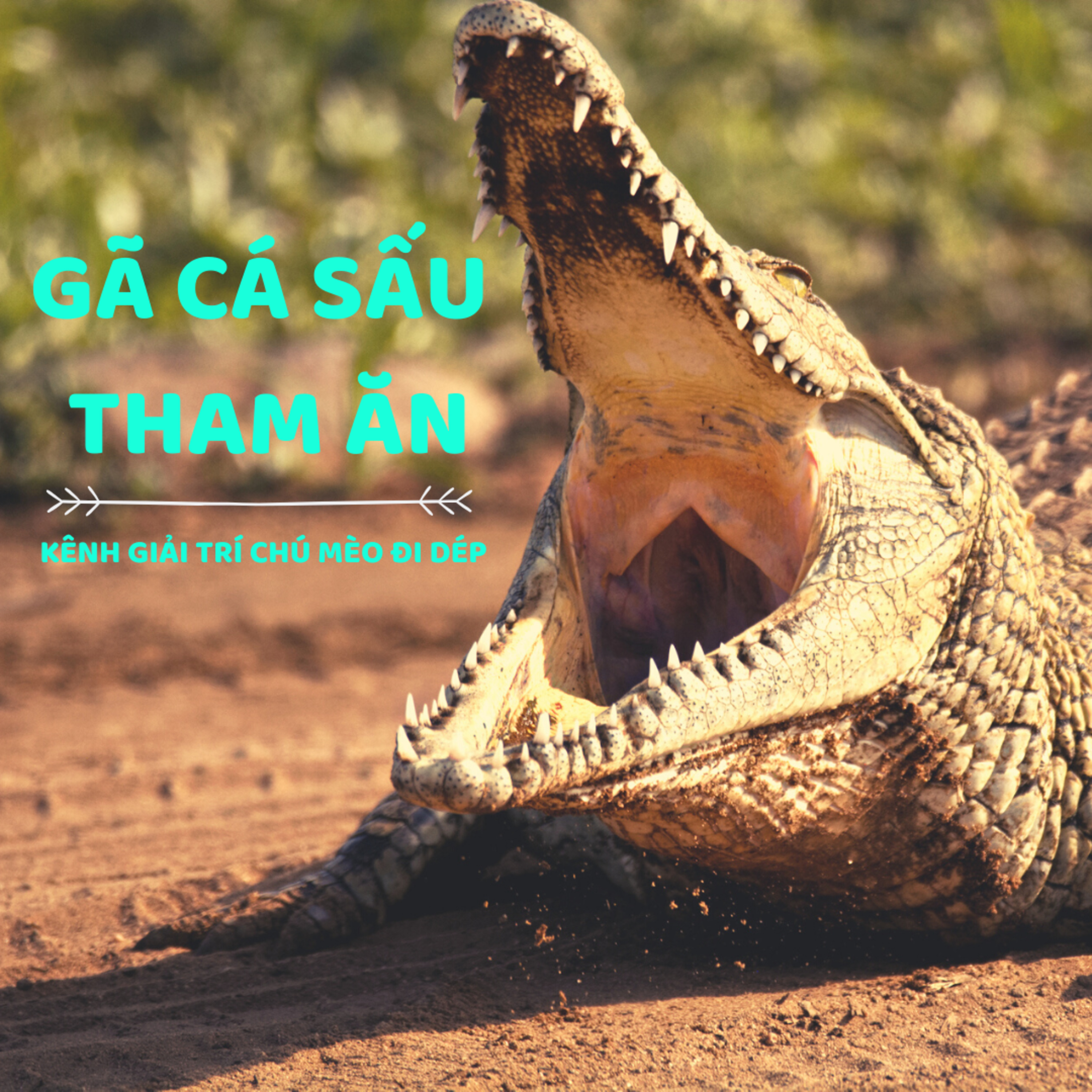 GÃ CÁ SẤU THAM ĂN- CỔ TÍCH THẾ GIỚI - ĐỌC TRUYỆN BÉ NGHE