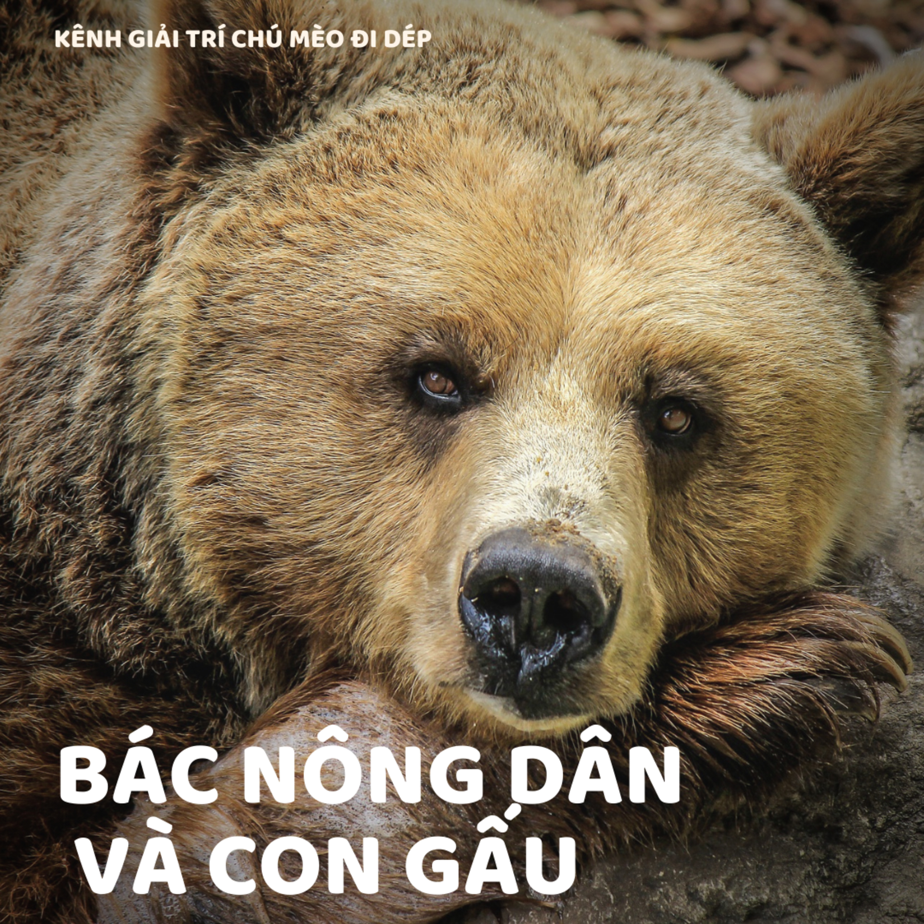 KHO TRUYỆN CỔ TÍCH - CMDD Audio