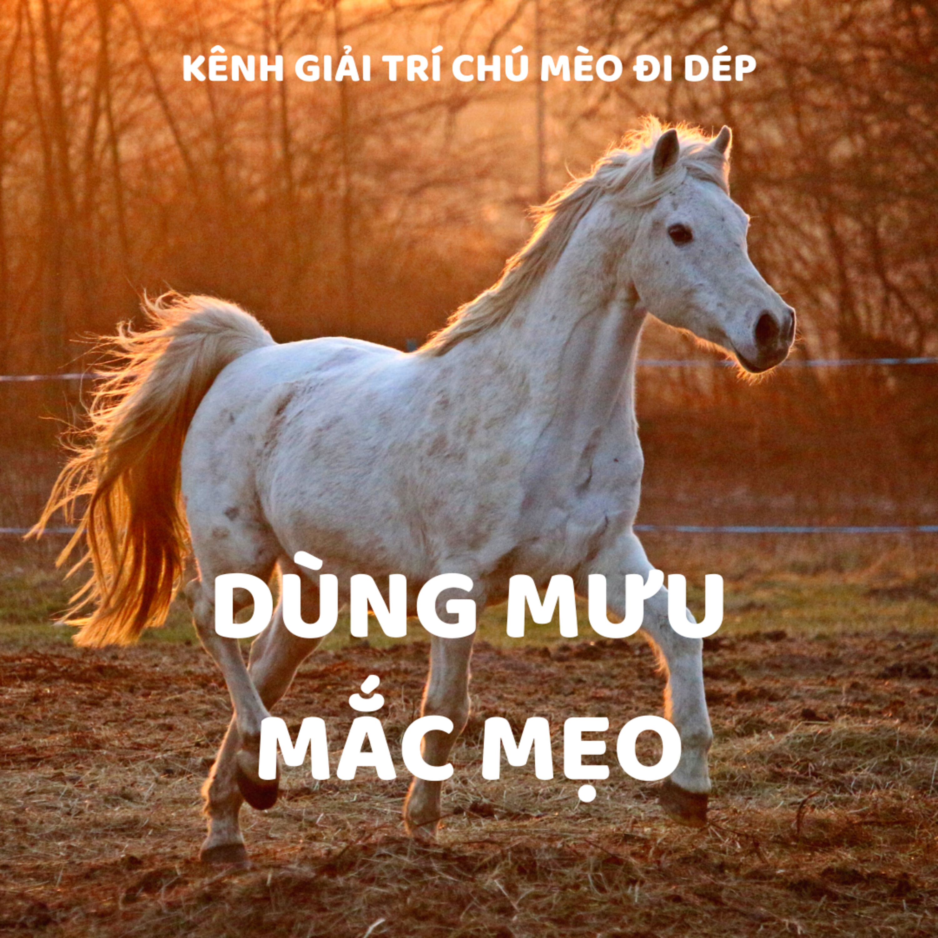 DÙNG MƯU MẮC MẸO - CỔ TÍCH THẾ GIỚI - ĐỌC TRUYỆN BÉ NGHE episode artwork