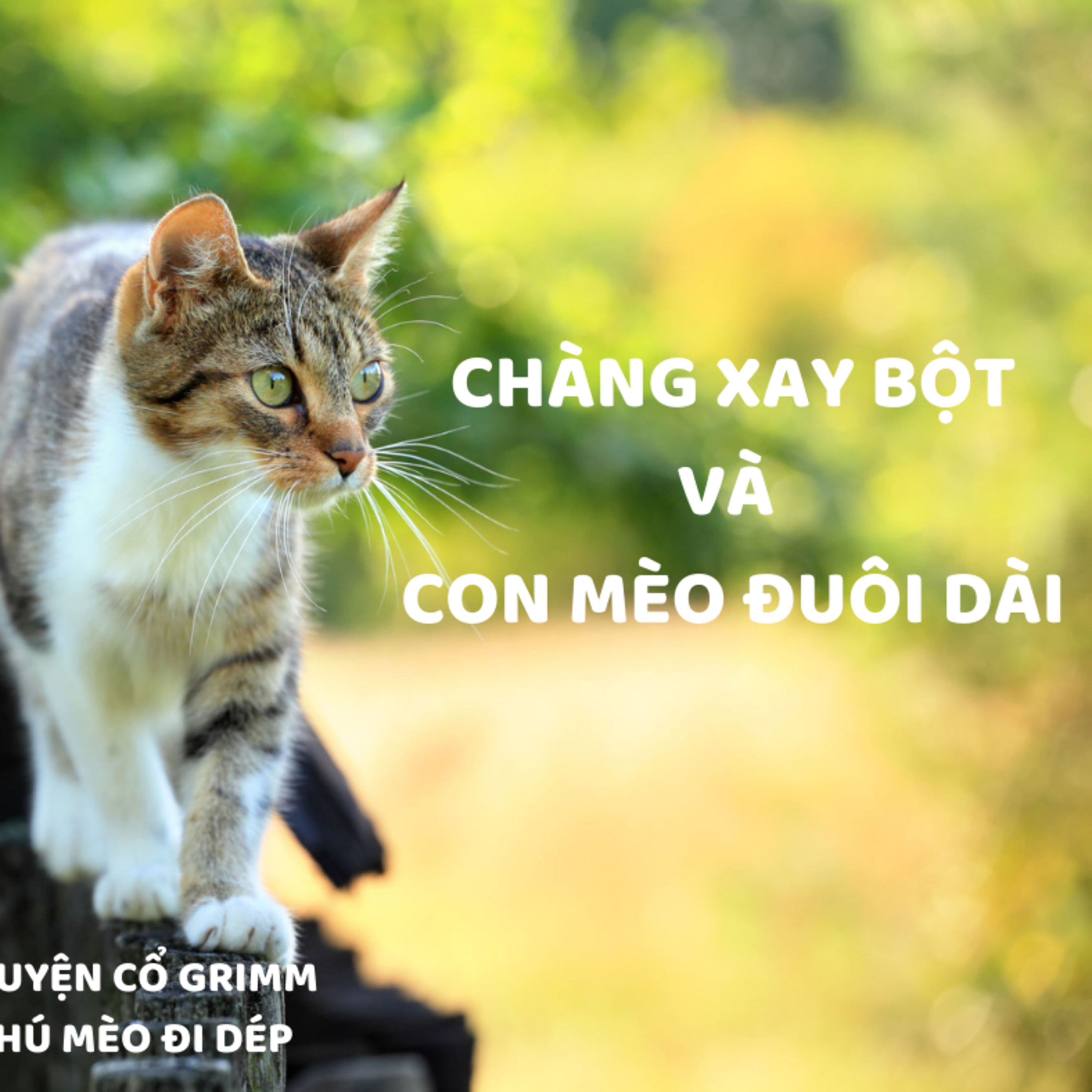 CHÀNG XAY BỘT VÀ CON MÈO ĐUÔI DÀI - TRUYỆN CỔ GRIMM - ĐỌC TRUYỆN BÉ NGHE episode artwork