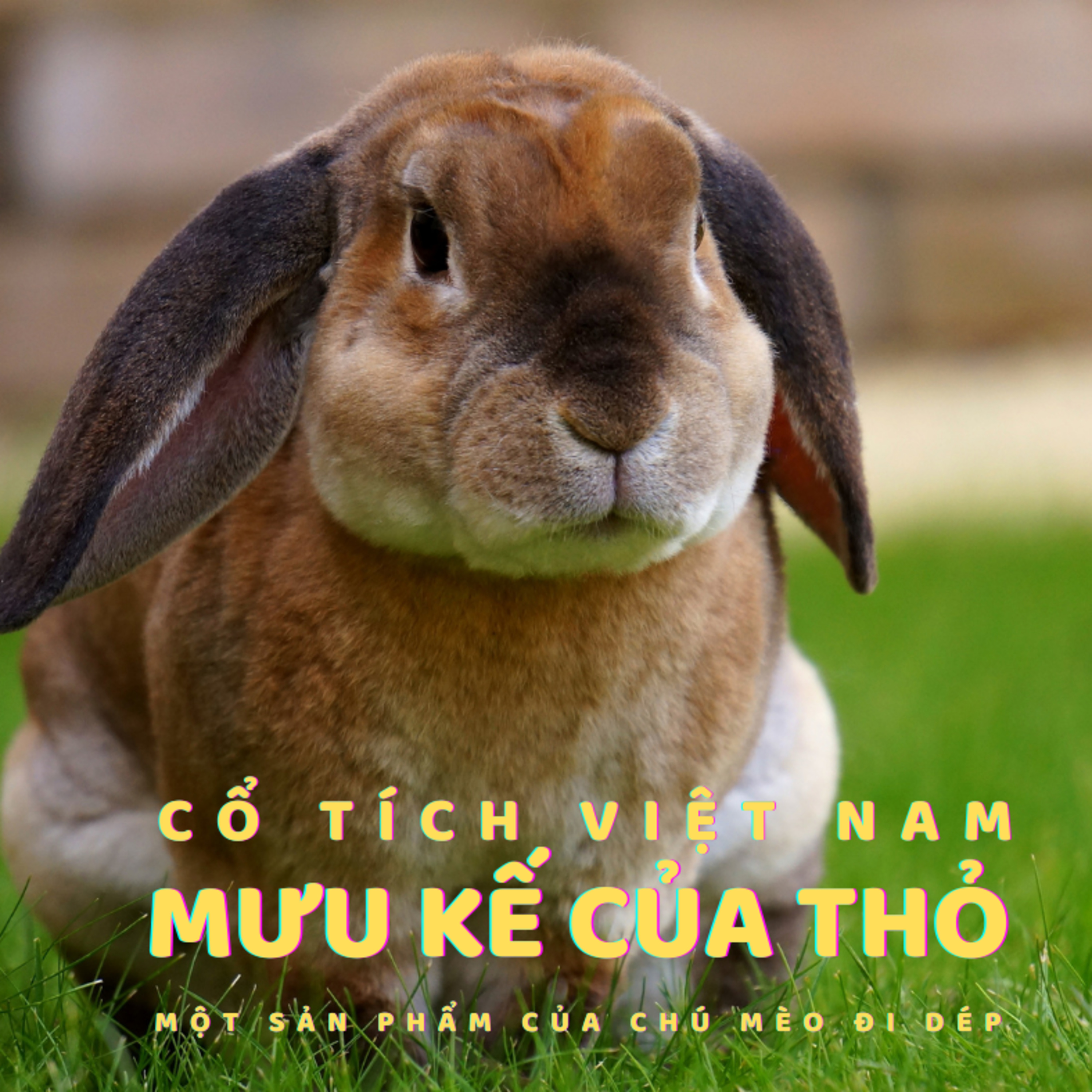 MƯU KẾ CỦA THỎ - CỔ TÍCH VIỆT NAM - ĐỌC TRUYỆN BÉ NGHE