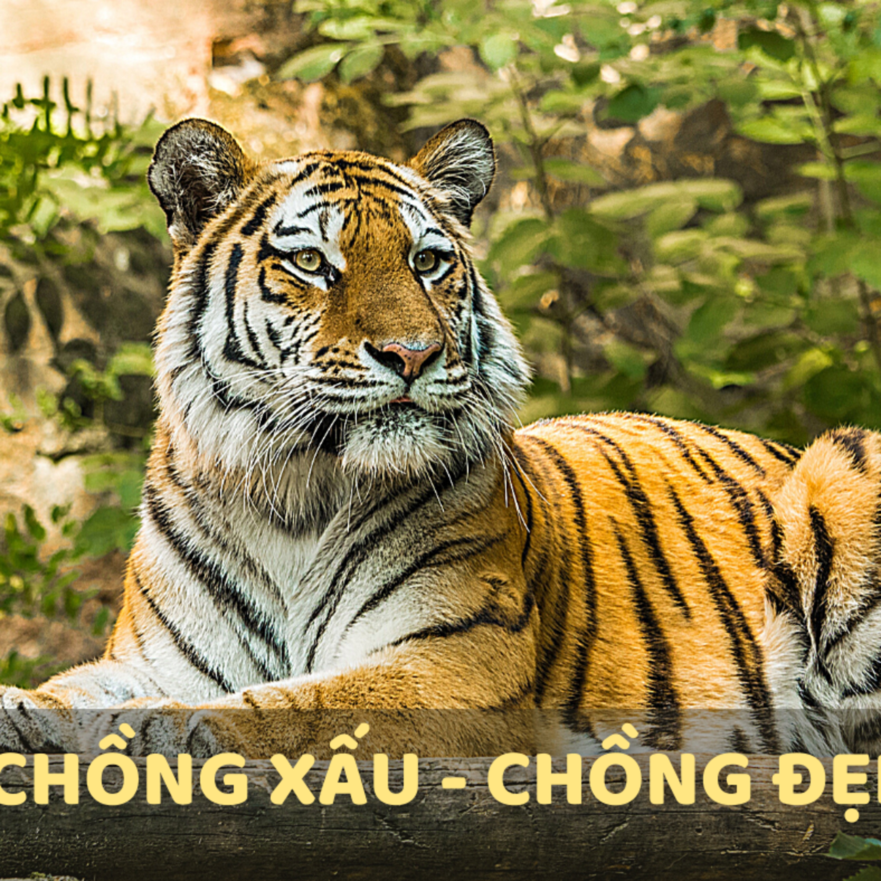 CHỒNG XẤU, CHỒNG ĐẸP - CỔ TÍCH DÂN TỘC DAO - ĐỌC TRUYỆN BÉ NGHE