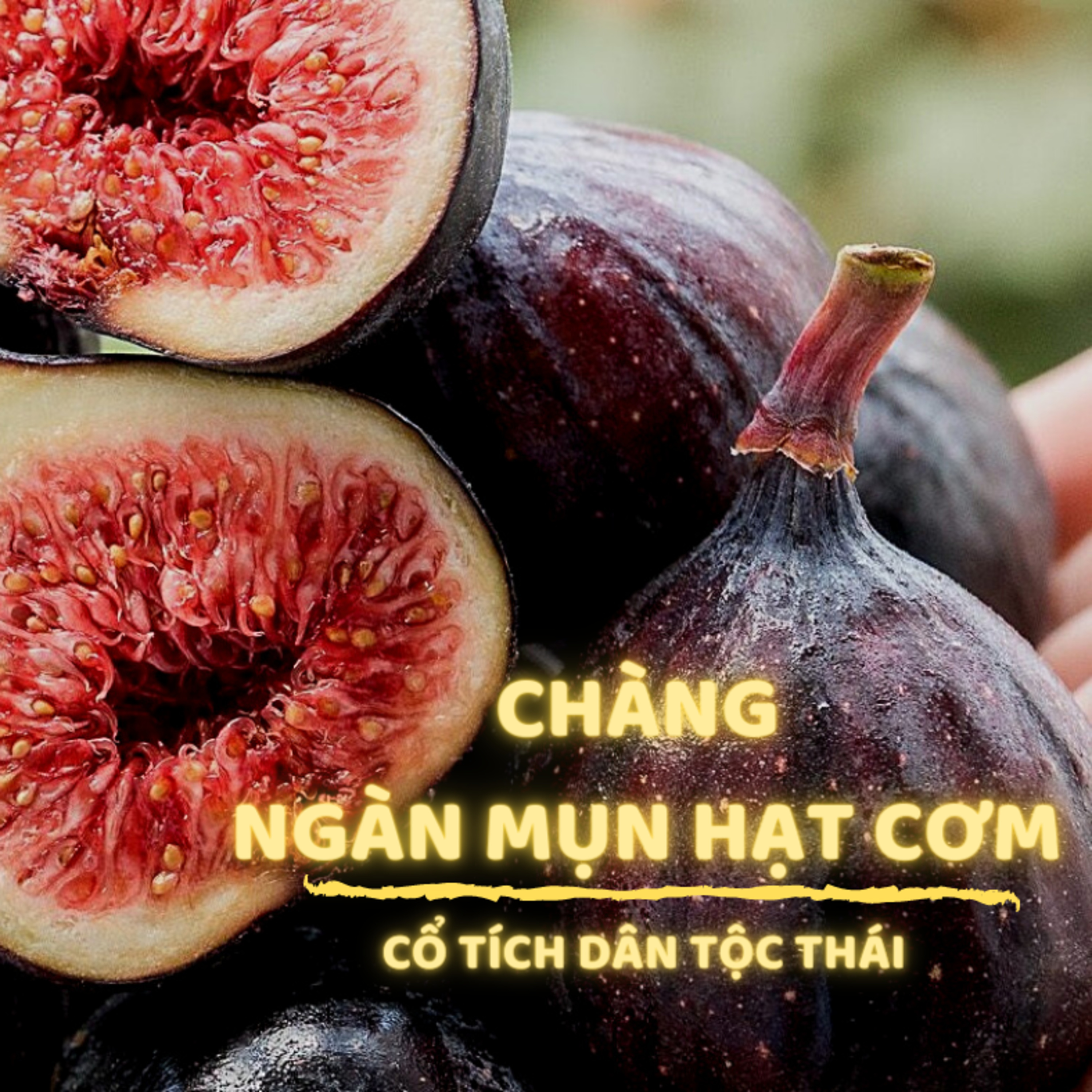 CHÀNG NGÀN MỤN HẠT CƠM - CỔ TÍCH DÂN TỘC THÁI - ĐỌC TRUYỆN BÉ NGHE episode artwork