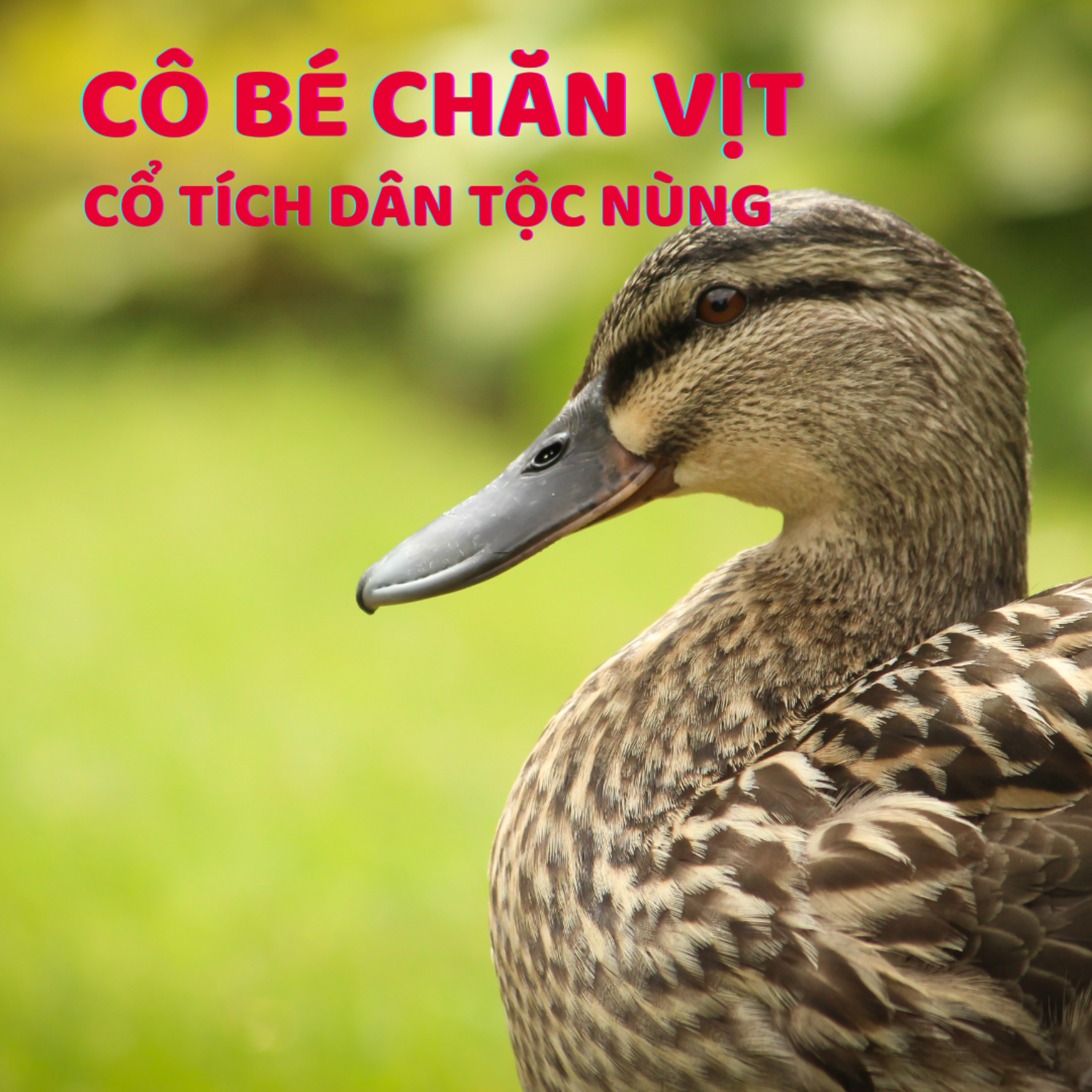 CÔ BÉ CHĂN VỊT - CỔ TÍCH DÂN TỘC NÙNG-ĐỌC TRUYỆN BÉ NGHE episode artwork