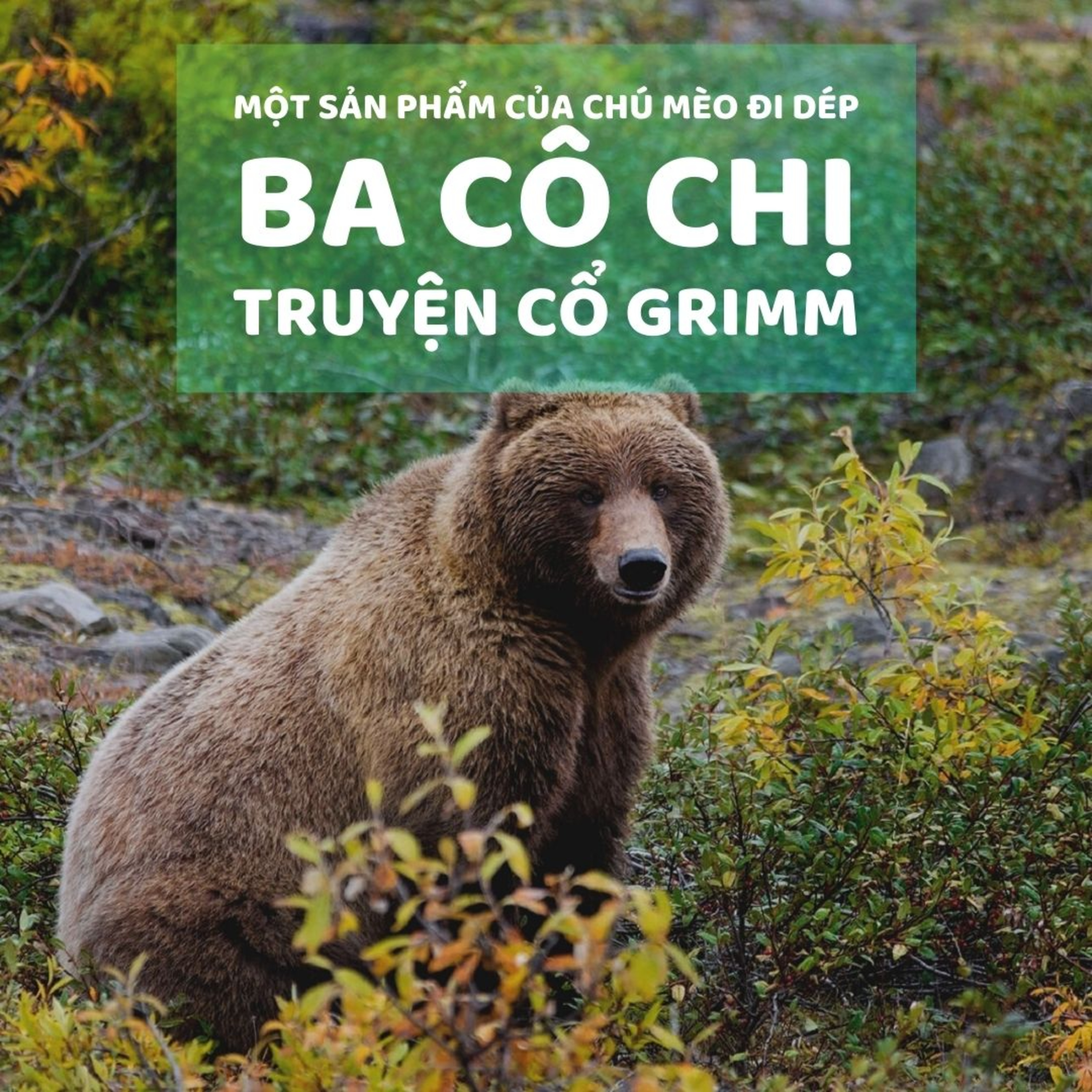 BA CÔ CHỊ - TRUYỆN CỔ GRIMM - ĐỌC TRUYỆN BÉ NGHE