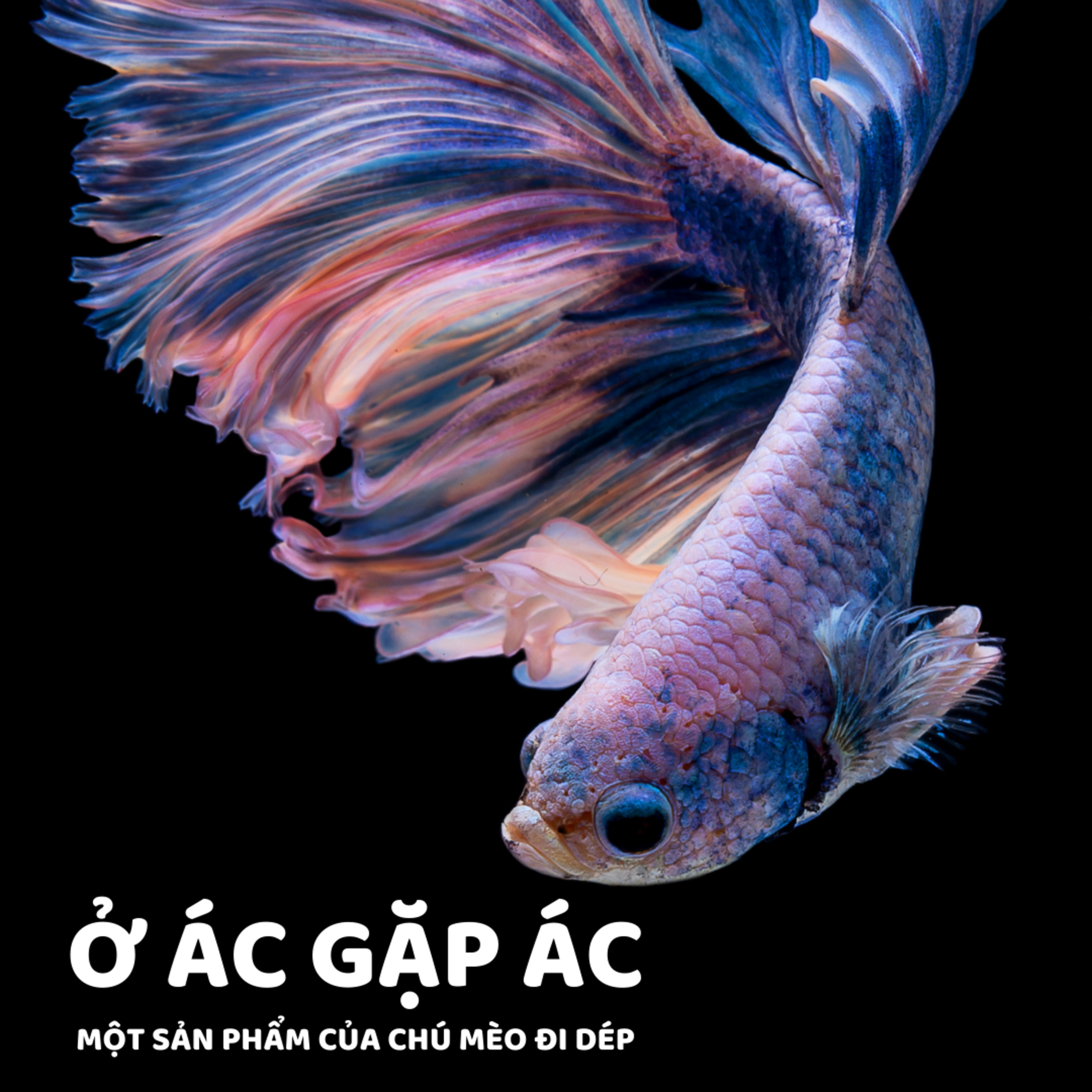 Ở ÁC GẶP ÁC - CỔ TÍCH MÔNG - ĐỌC TRUYỆN BÉ NGHE episode artwork