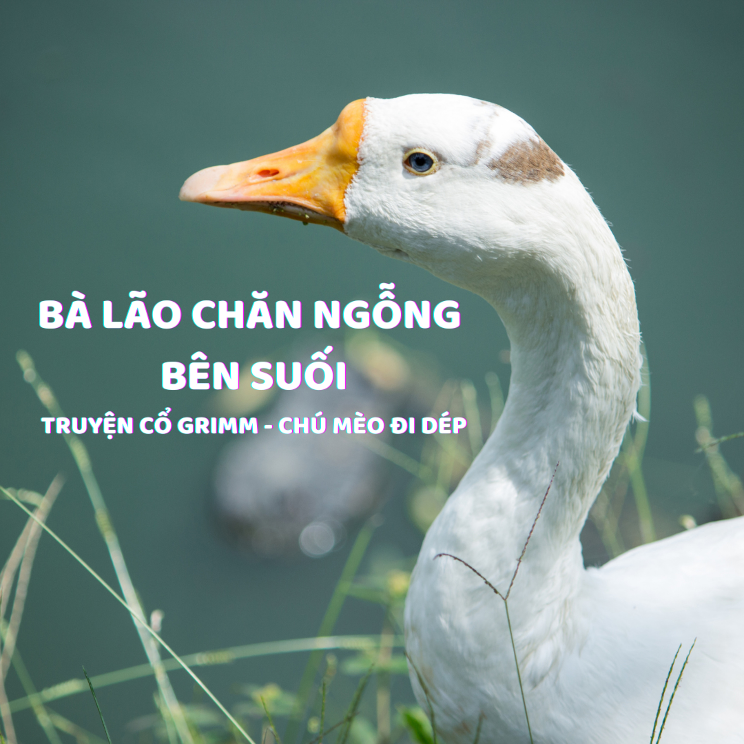 BÀ LÃO CHĂN NGỖNG BÊN SUỐI - TRUYỆN CỔ GRIMM - ĐỌC TRUYỆN BÉ NGHE episode artwork