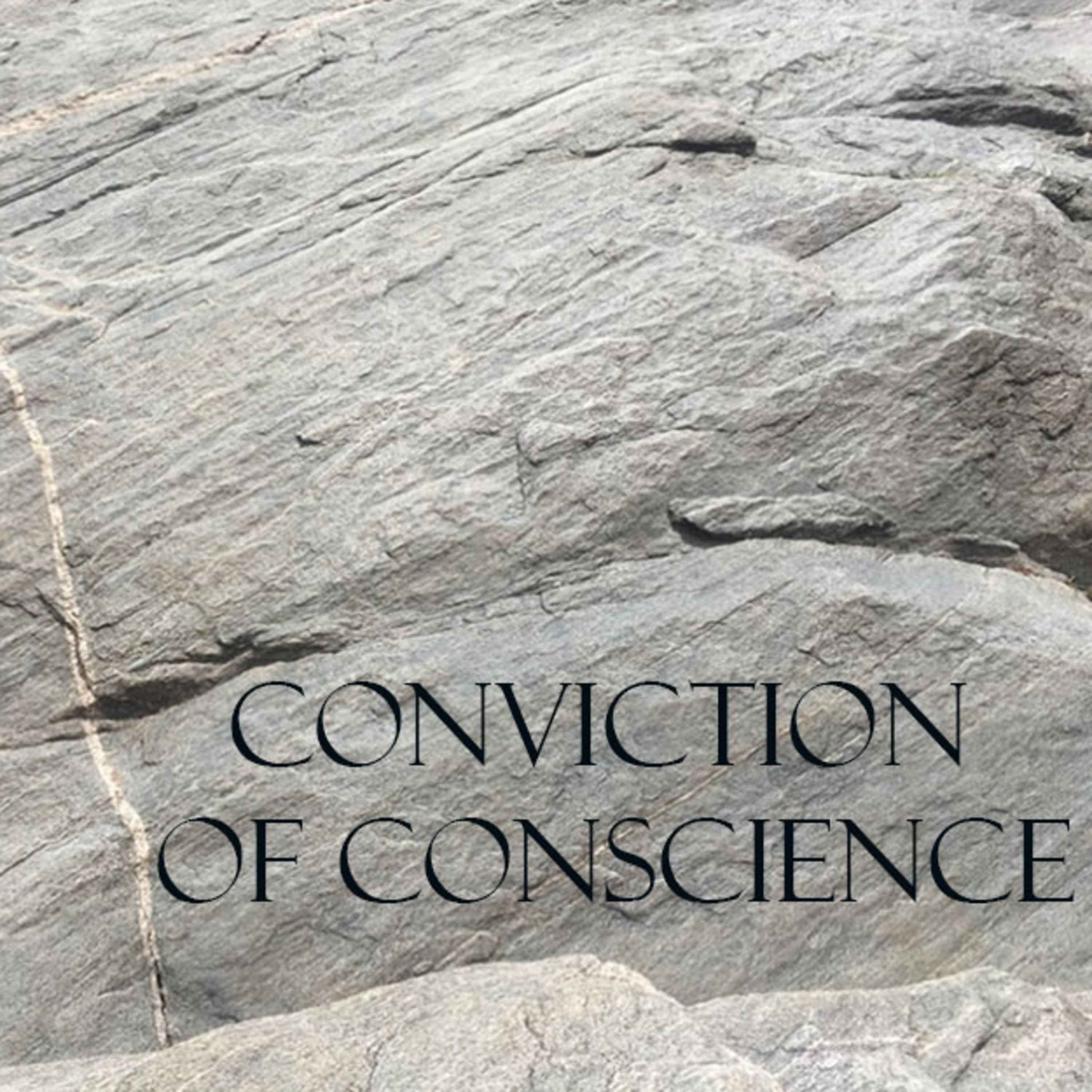 04-28-19 Traditional Worship Service, Conviction of Conscience - Rev. Dr. Brian R. Paulson episode artwork