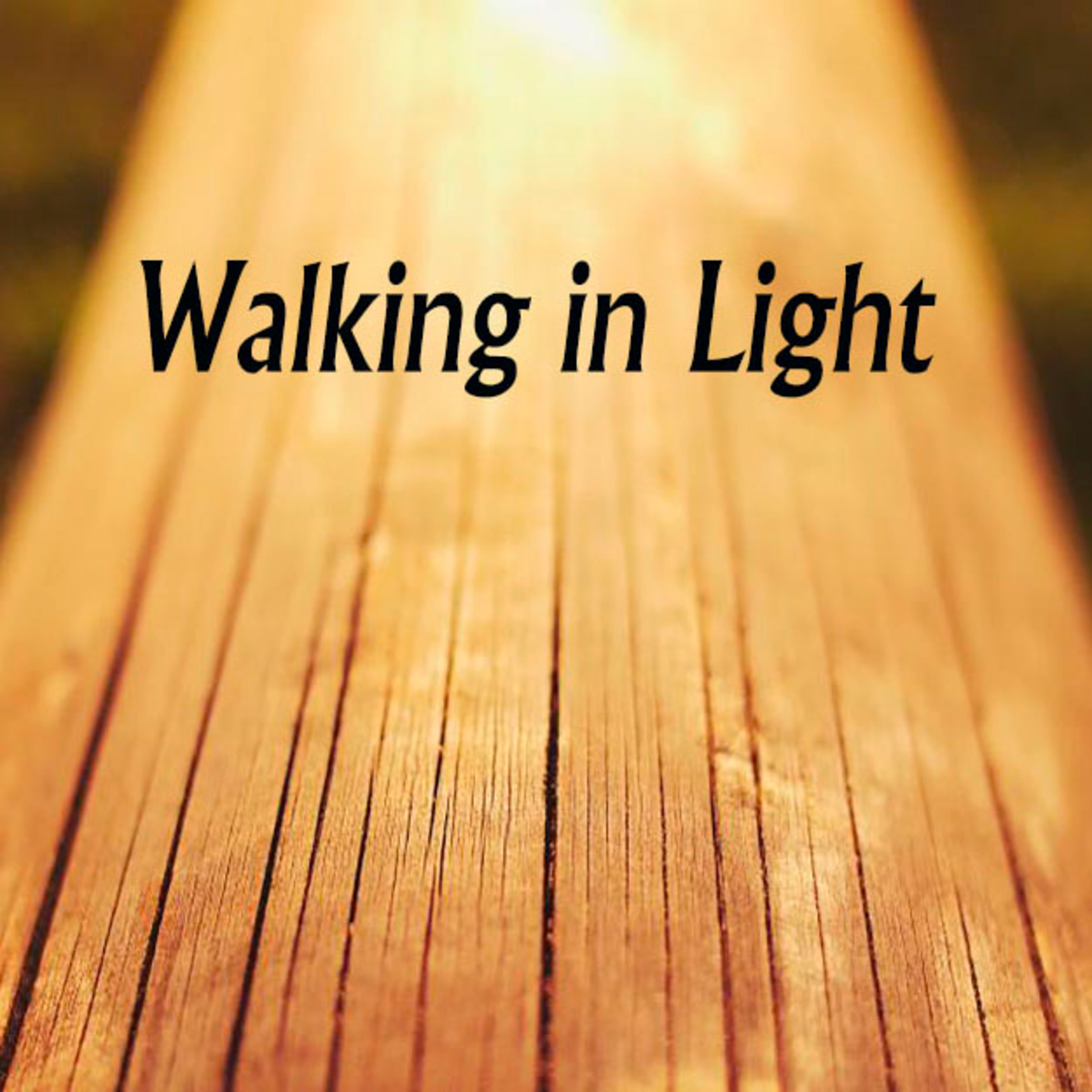 05-26-2019 Traditional Worship Service, Walking in Light - Rev. Dr. Brian R. Paulson episode artwork