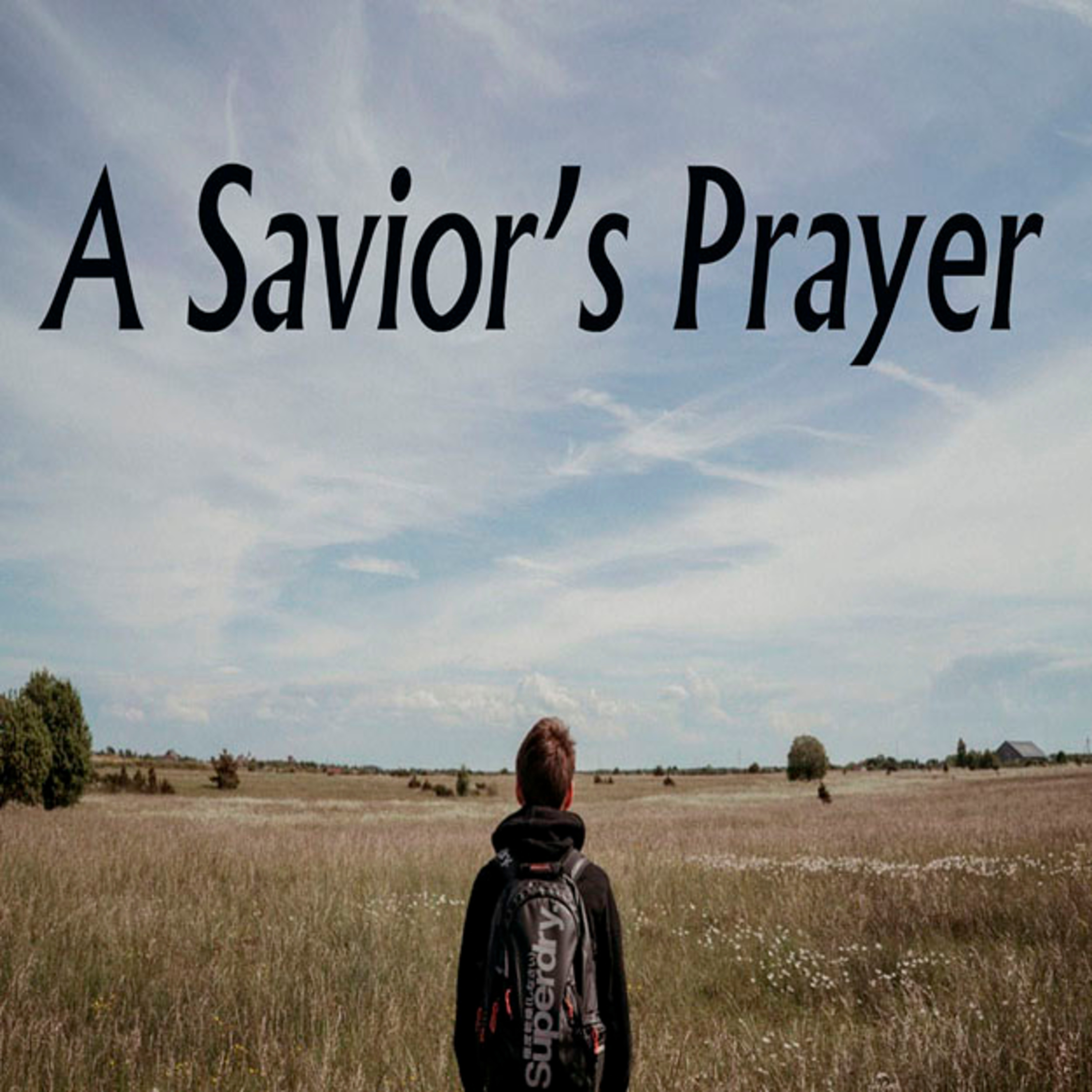 06-02-2019 Traditional Worship Service, A Savior's Prayer - Rev. Kara Smith-Laubenstein
