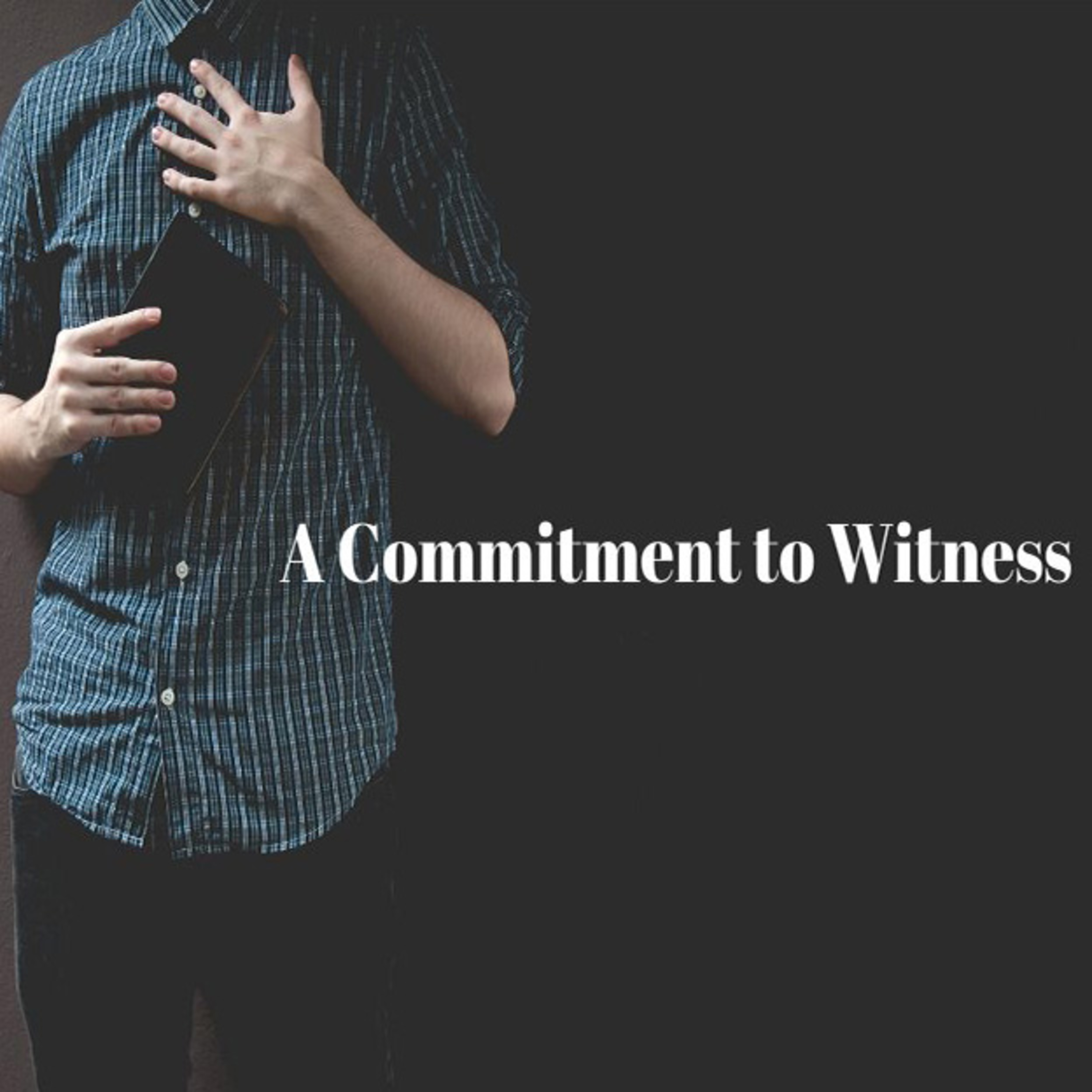 11-03-2019 Traditional Worship Service, A Commitment to Witness - Rev. Dr. Brian R. Paulson episode artwork