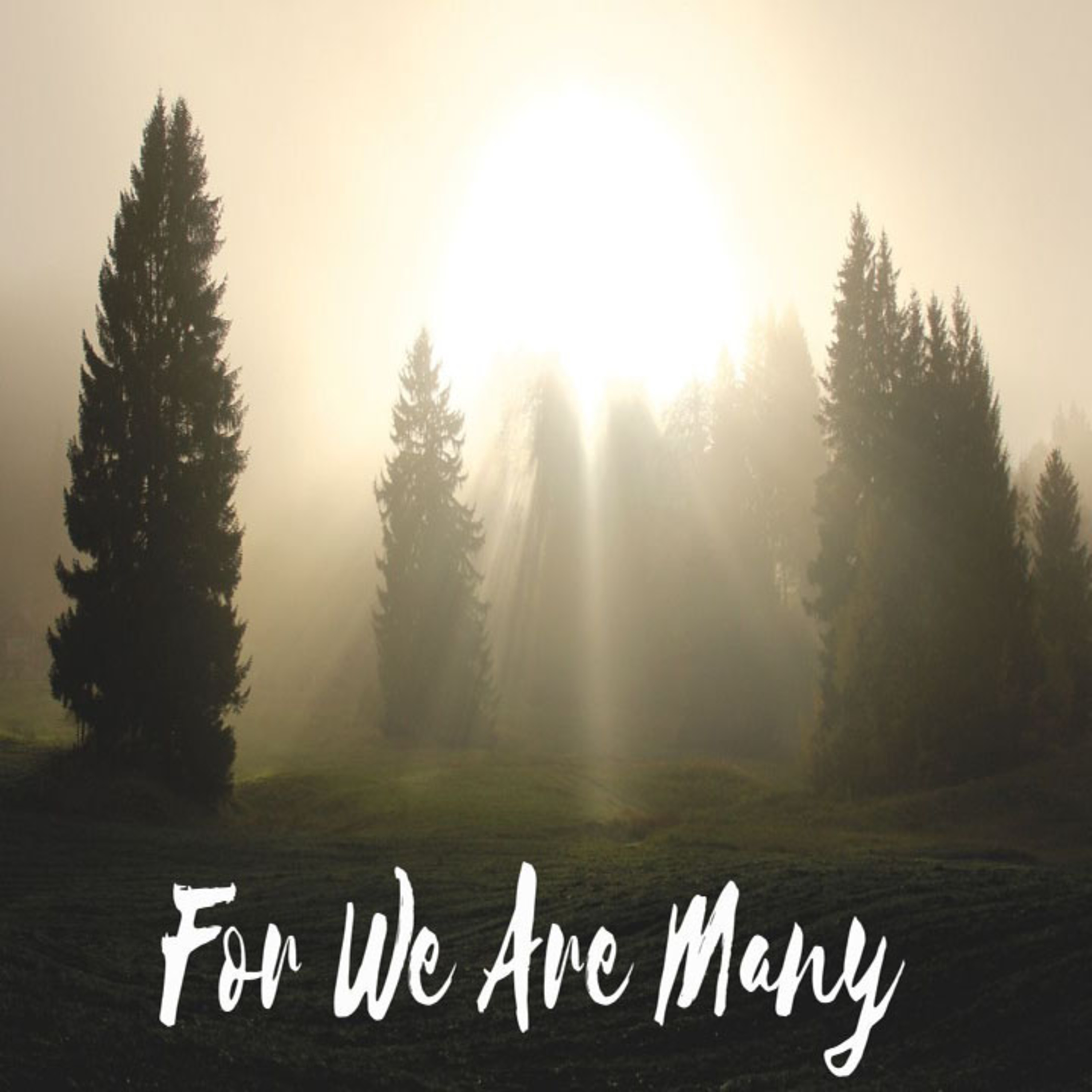 01-26-2020 Contemporary Worship Service, For We Are Many -Rev. Kara Smith-Laubenstein episode artwork