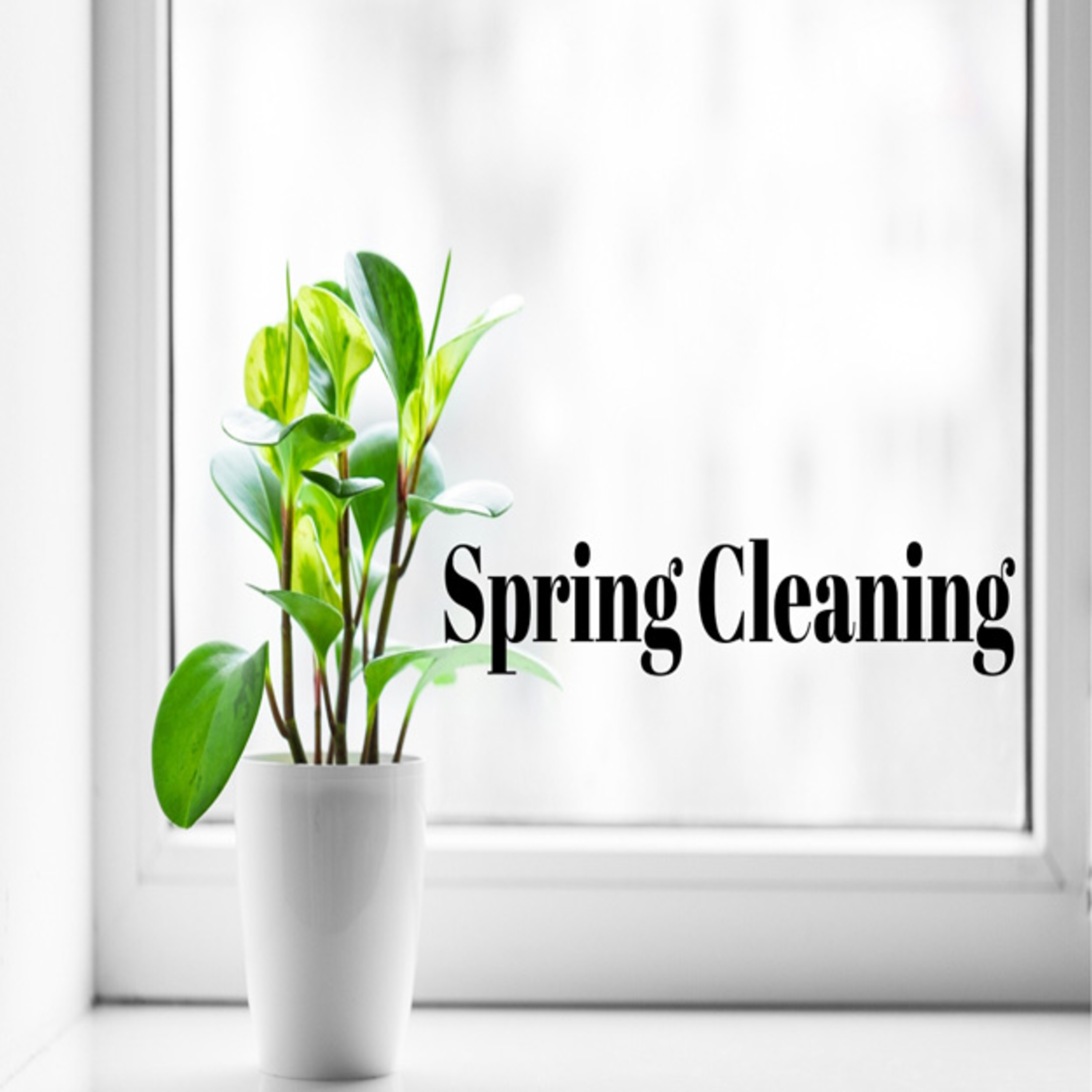 02-16-2020 Traditional Worship Service, Spring Cleaning - Rev. Amy Heinrich